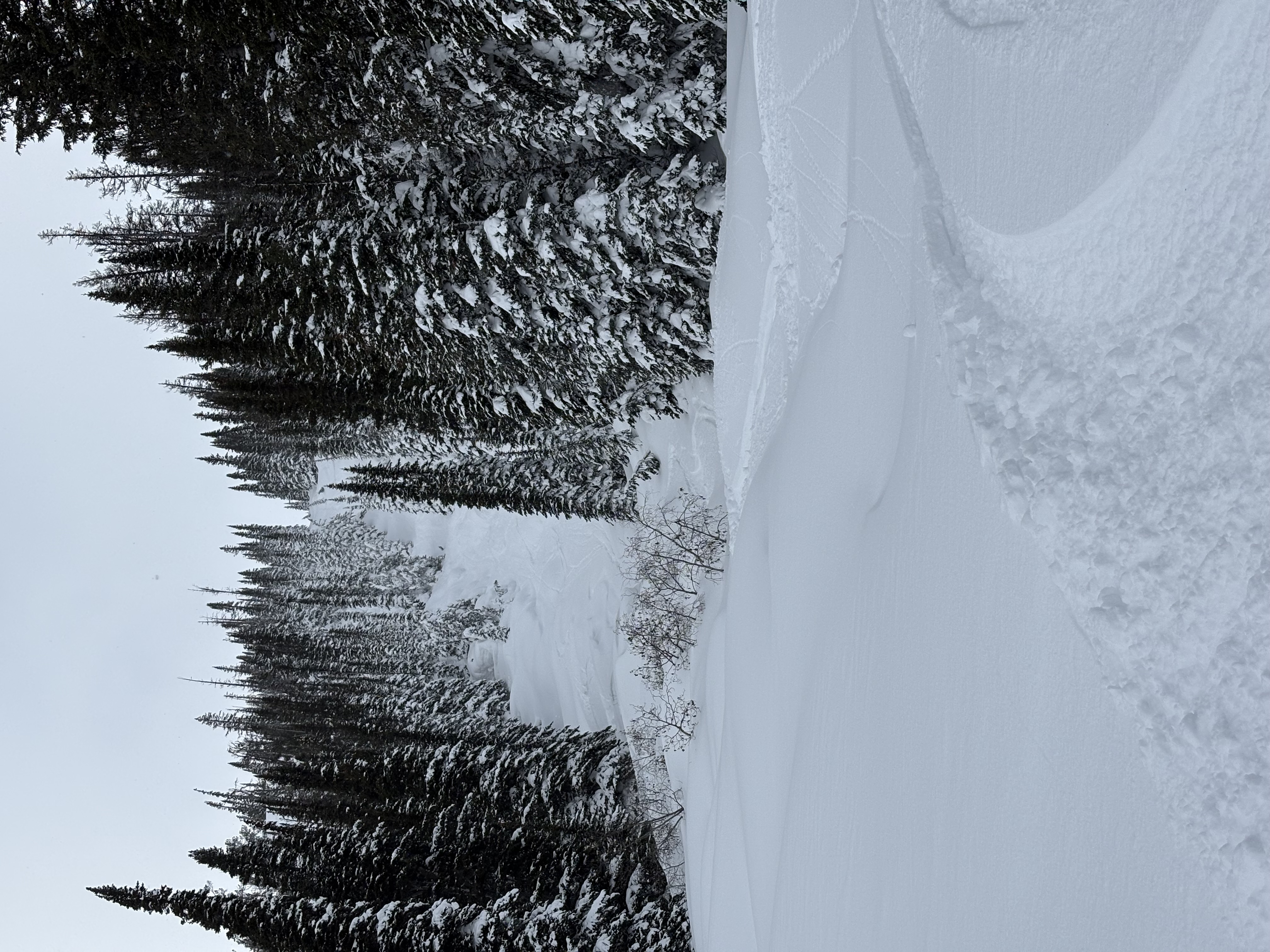 Observation photo