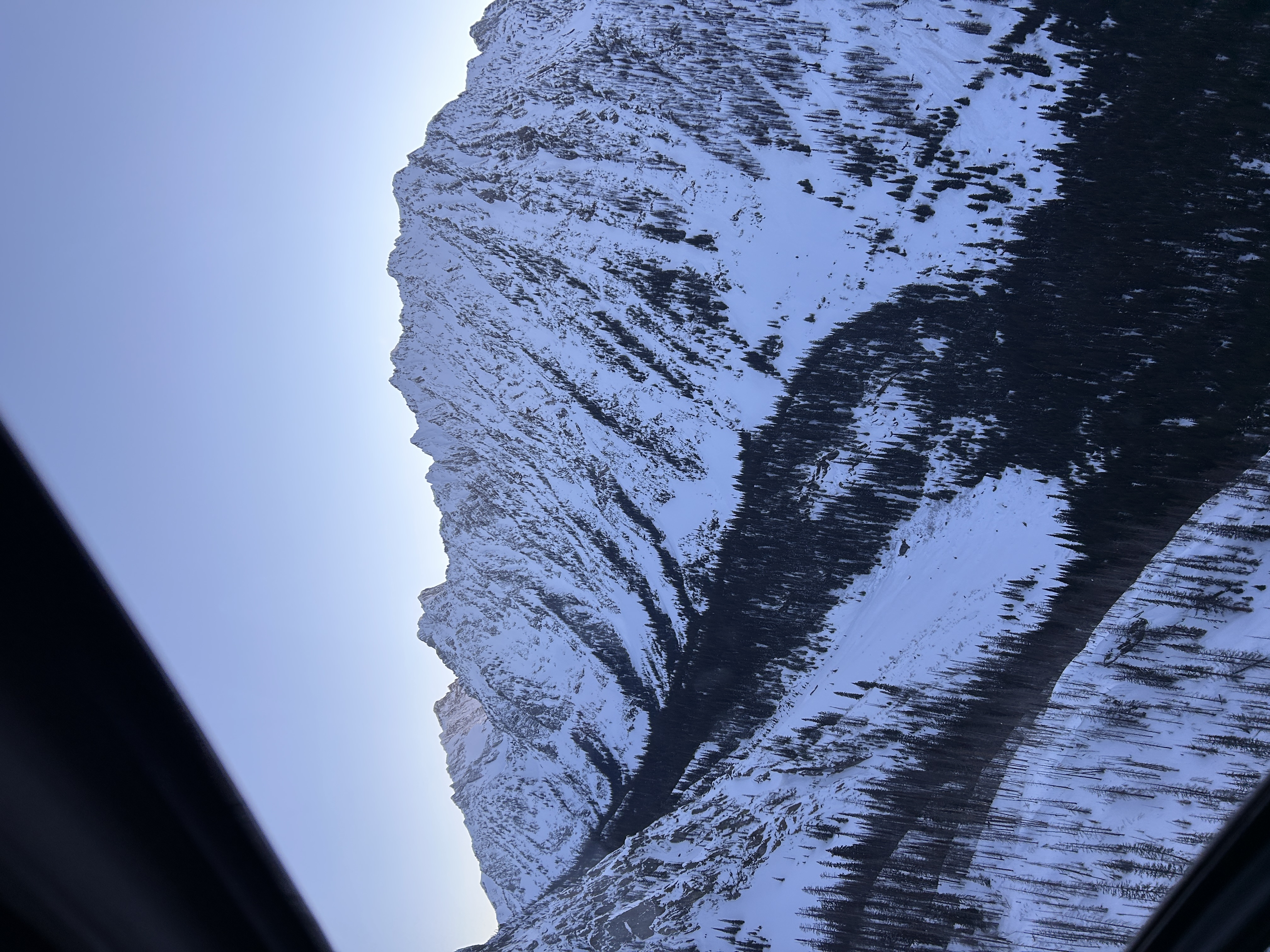 Observation photo