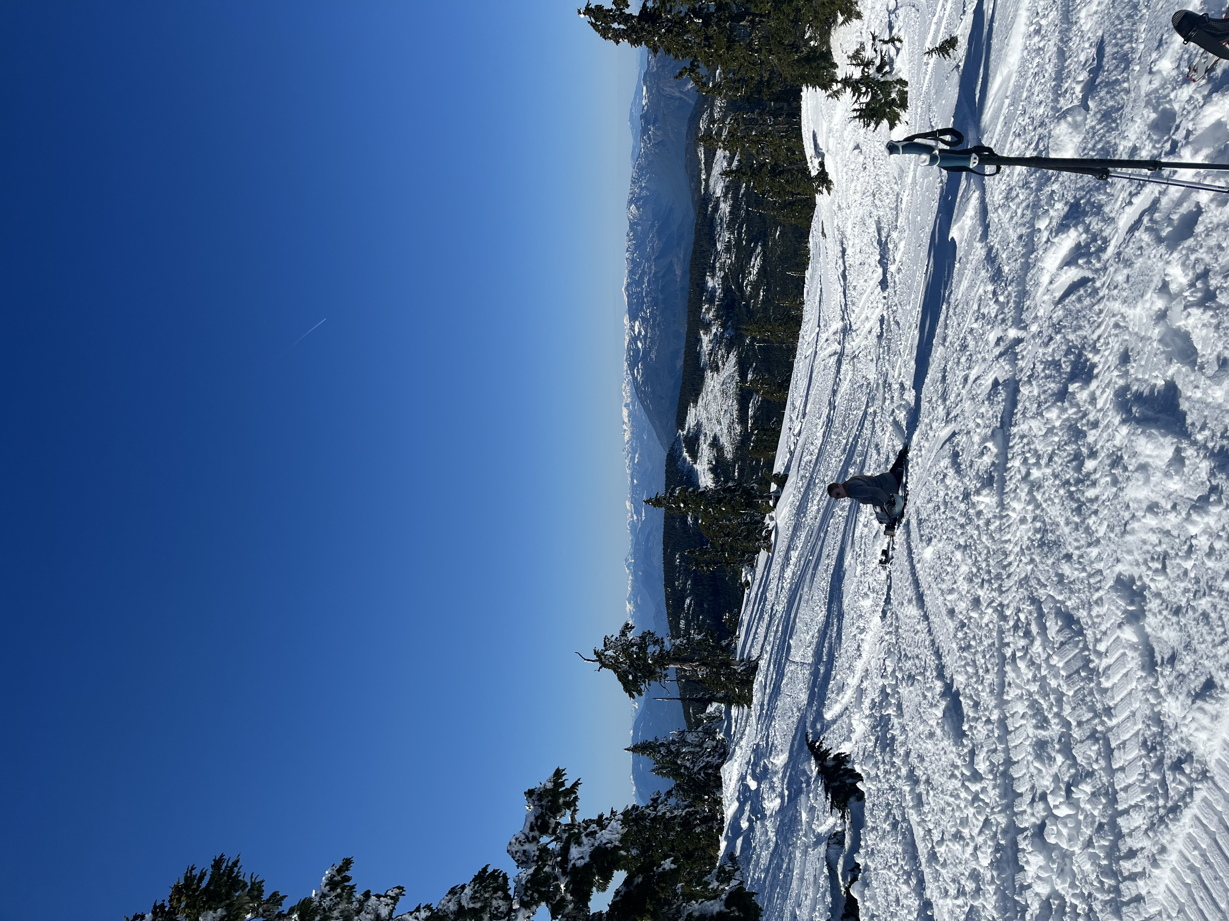 Observation photo