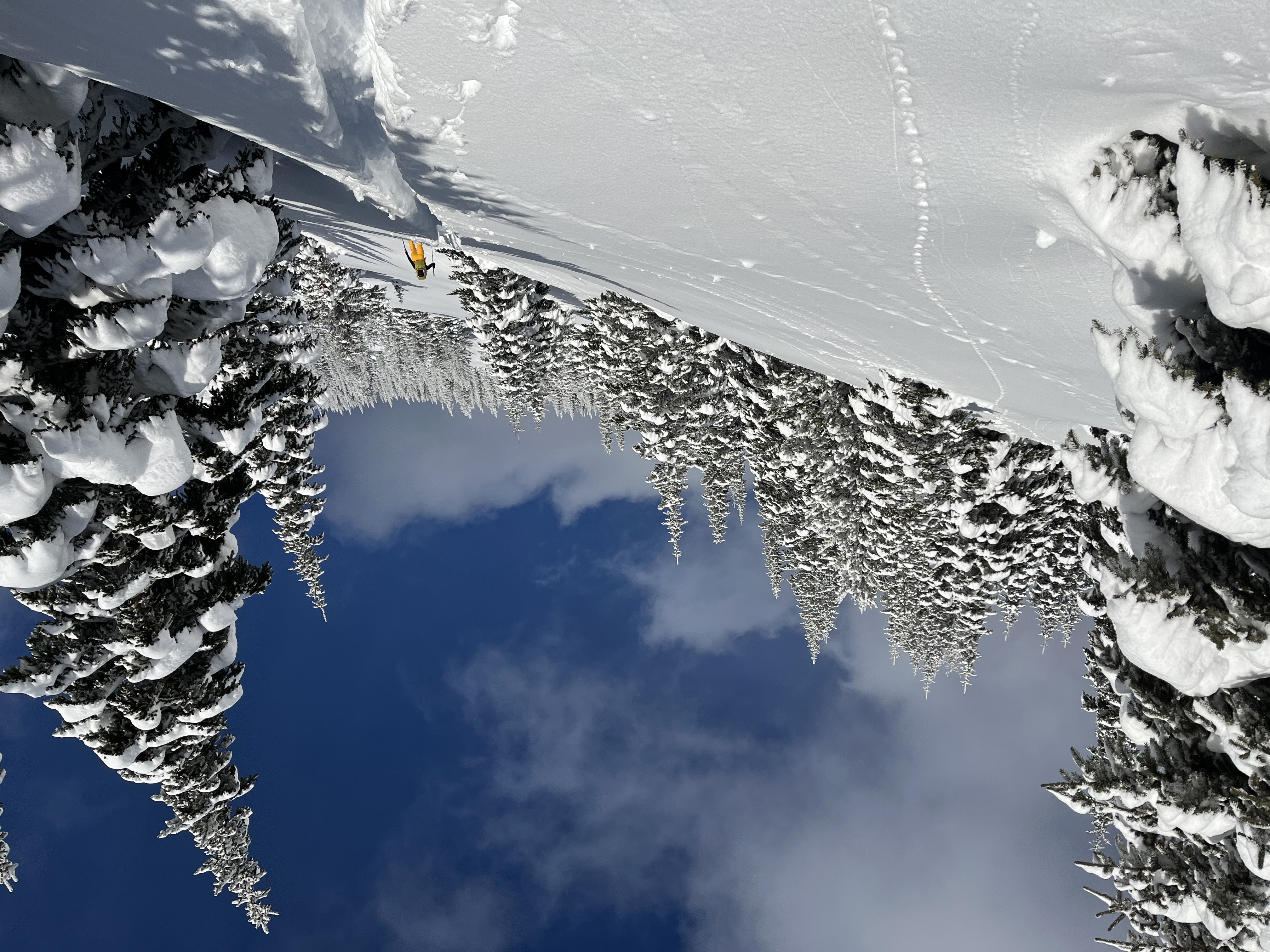 Observation photo