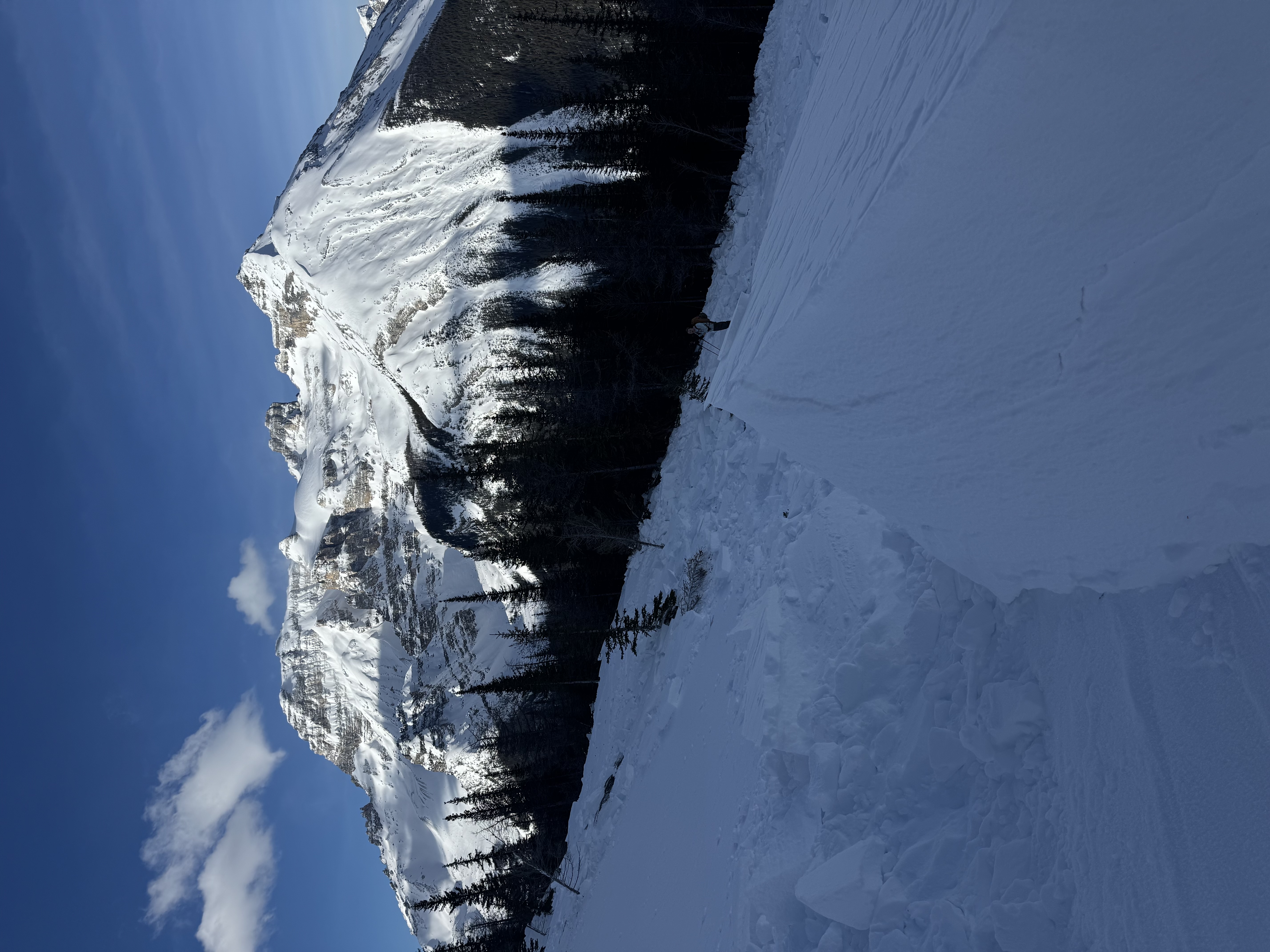 Observation photo