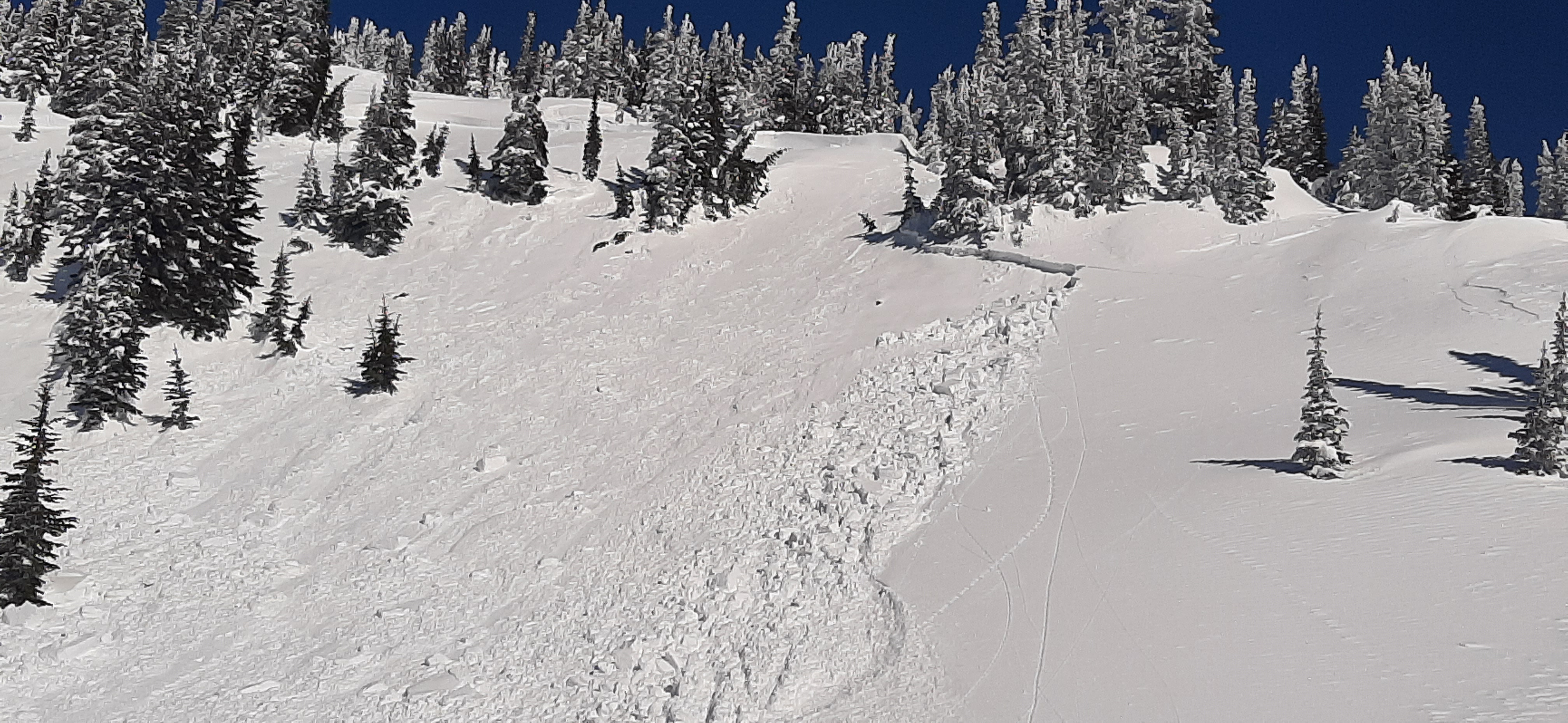 Observation photo