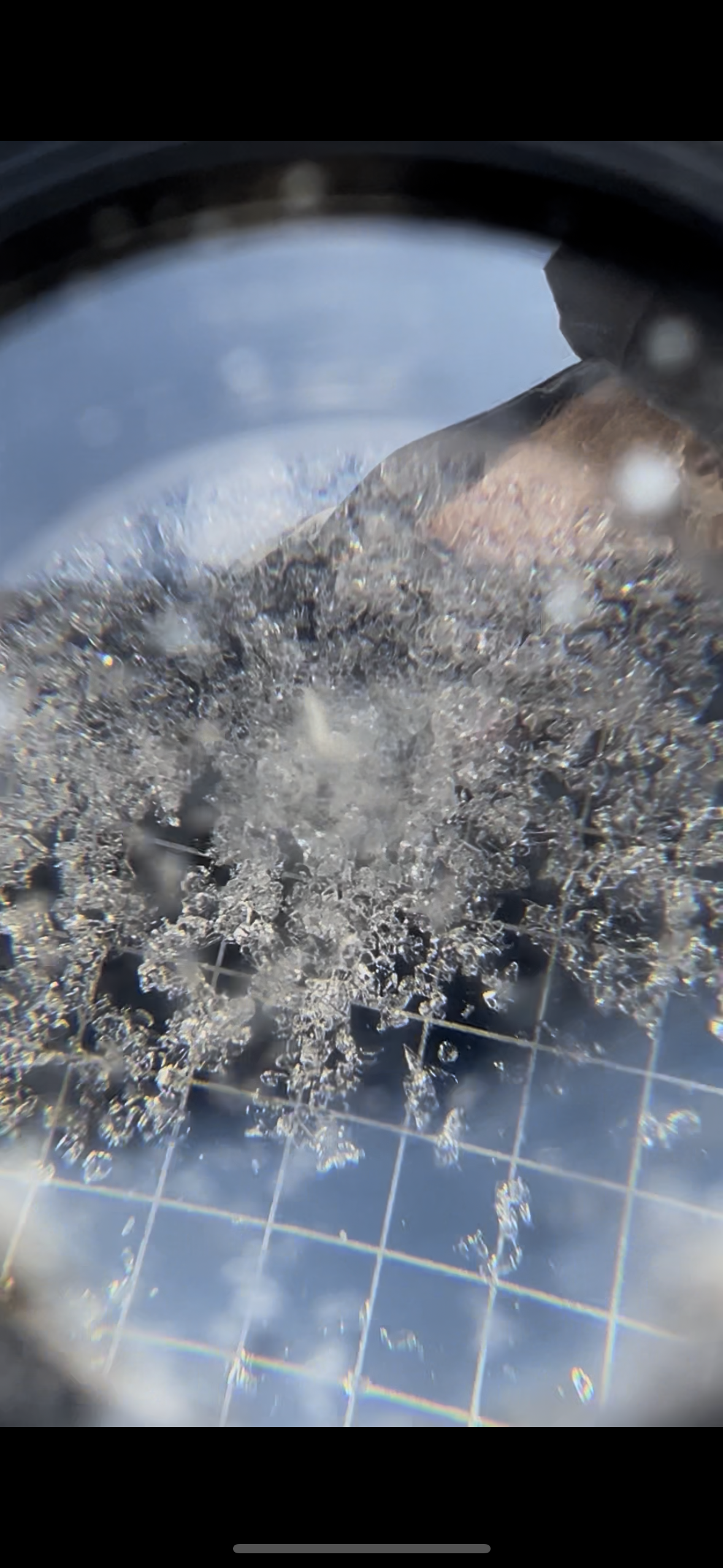 Observation photo