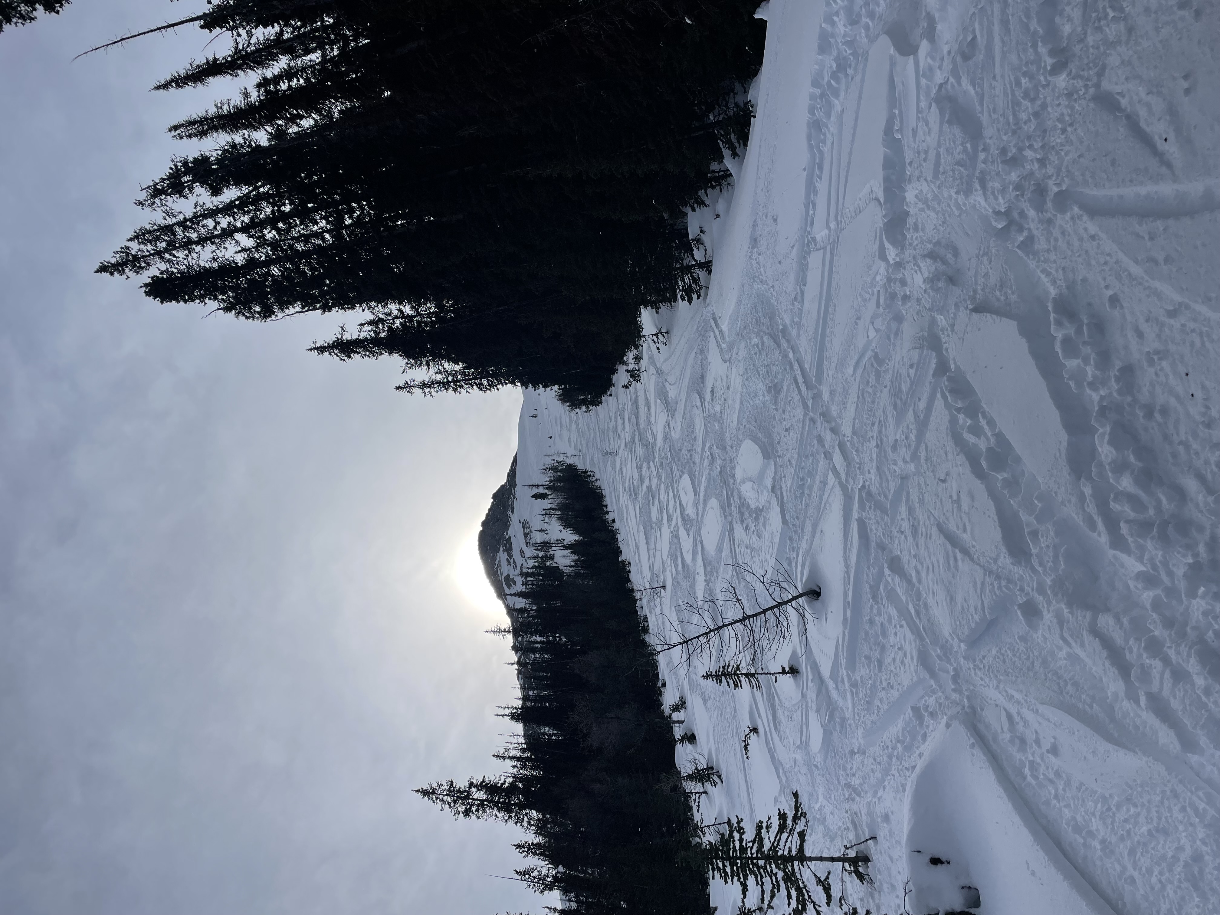 Observation photo