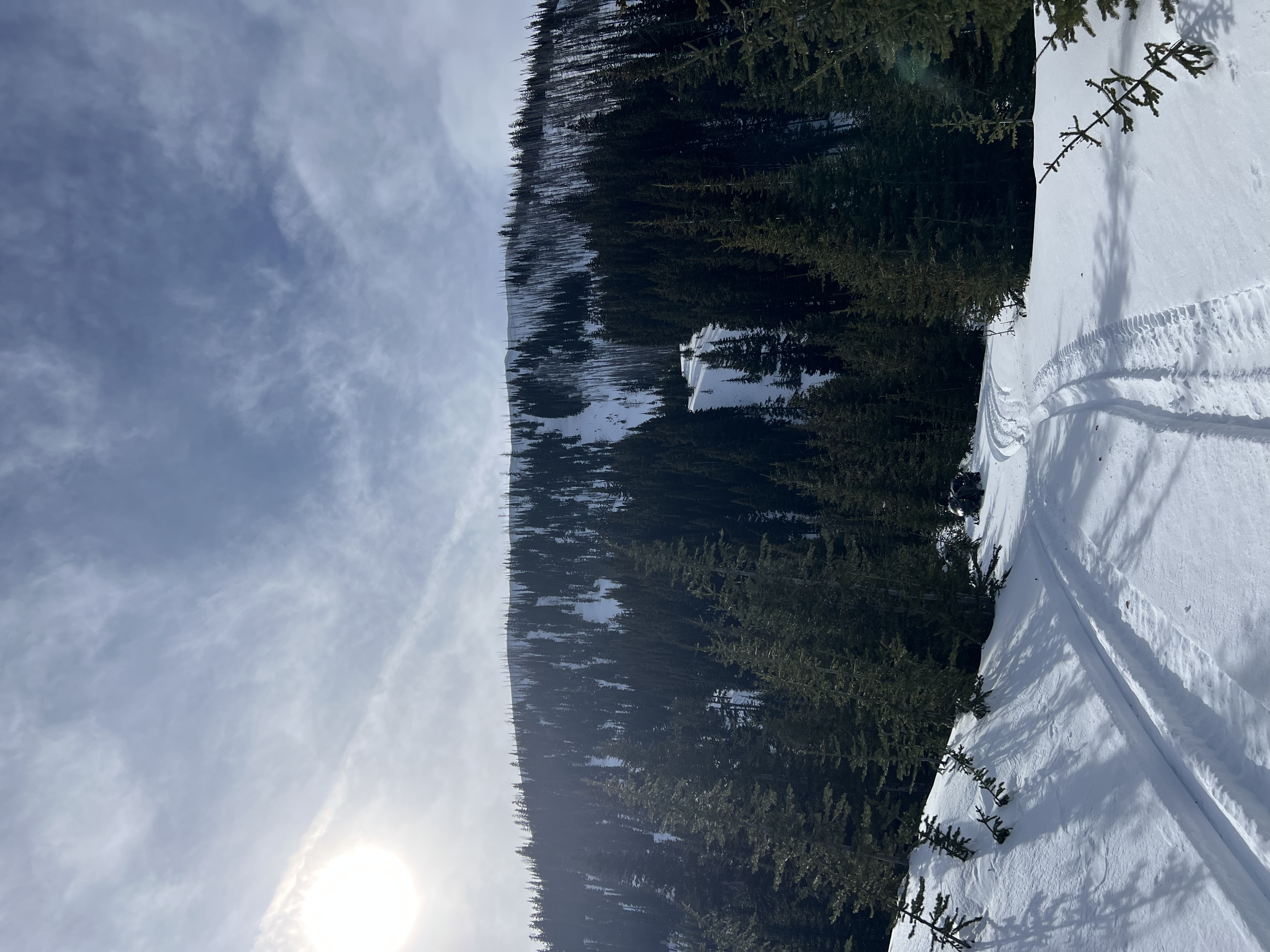 Observation photo