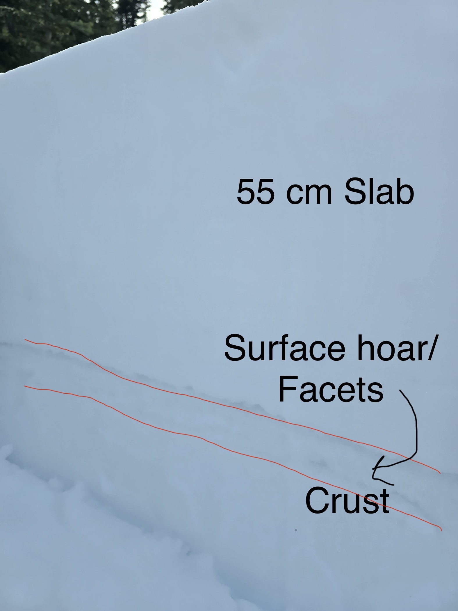 Observation photo