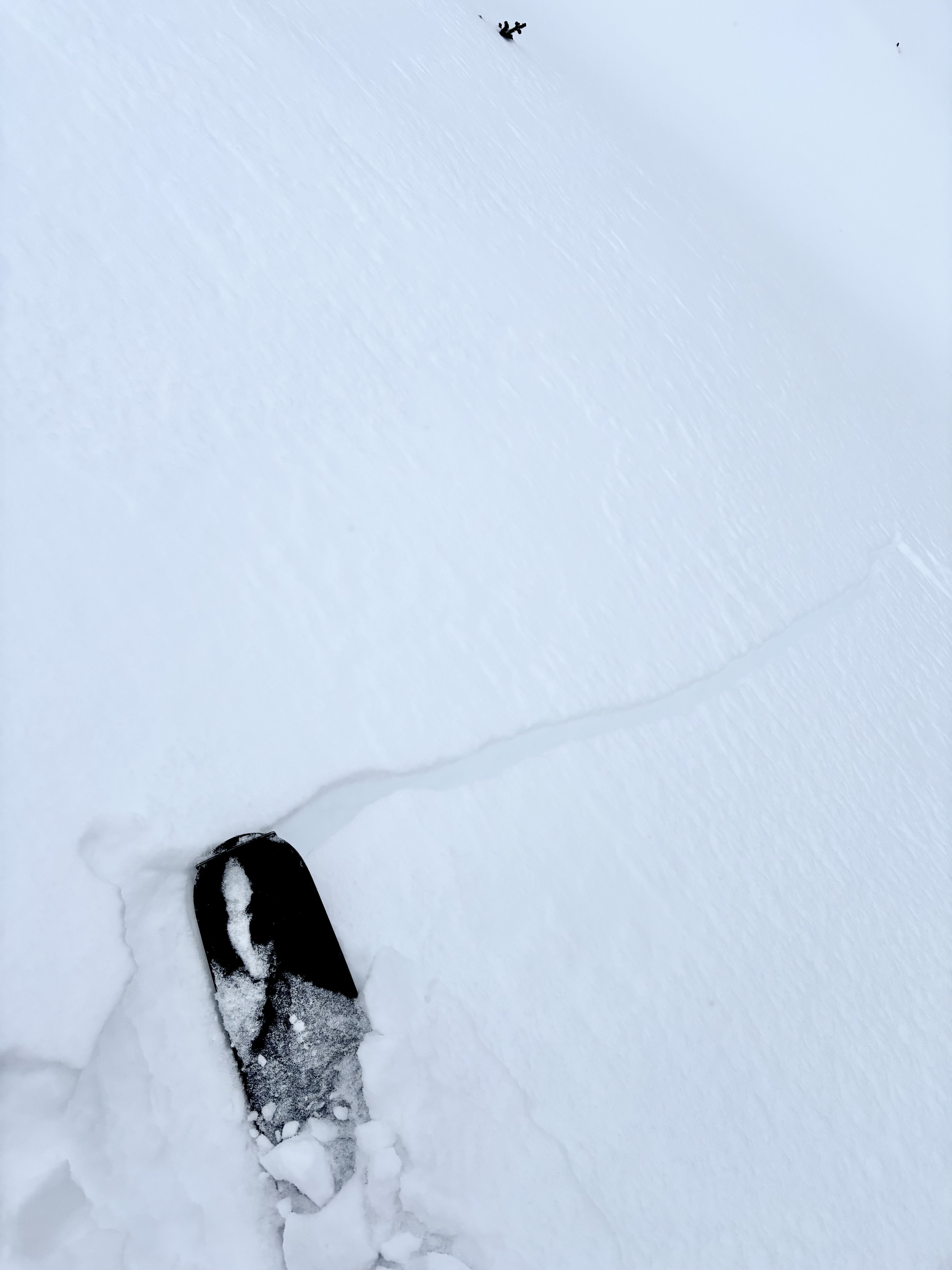 Observation photo