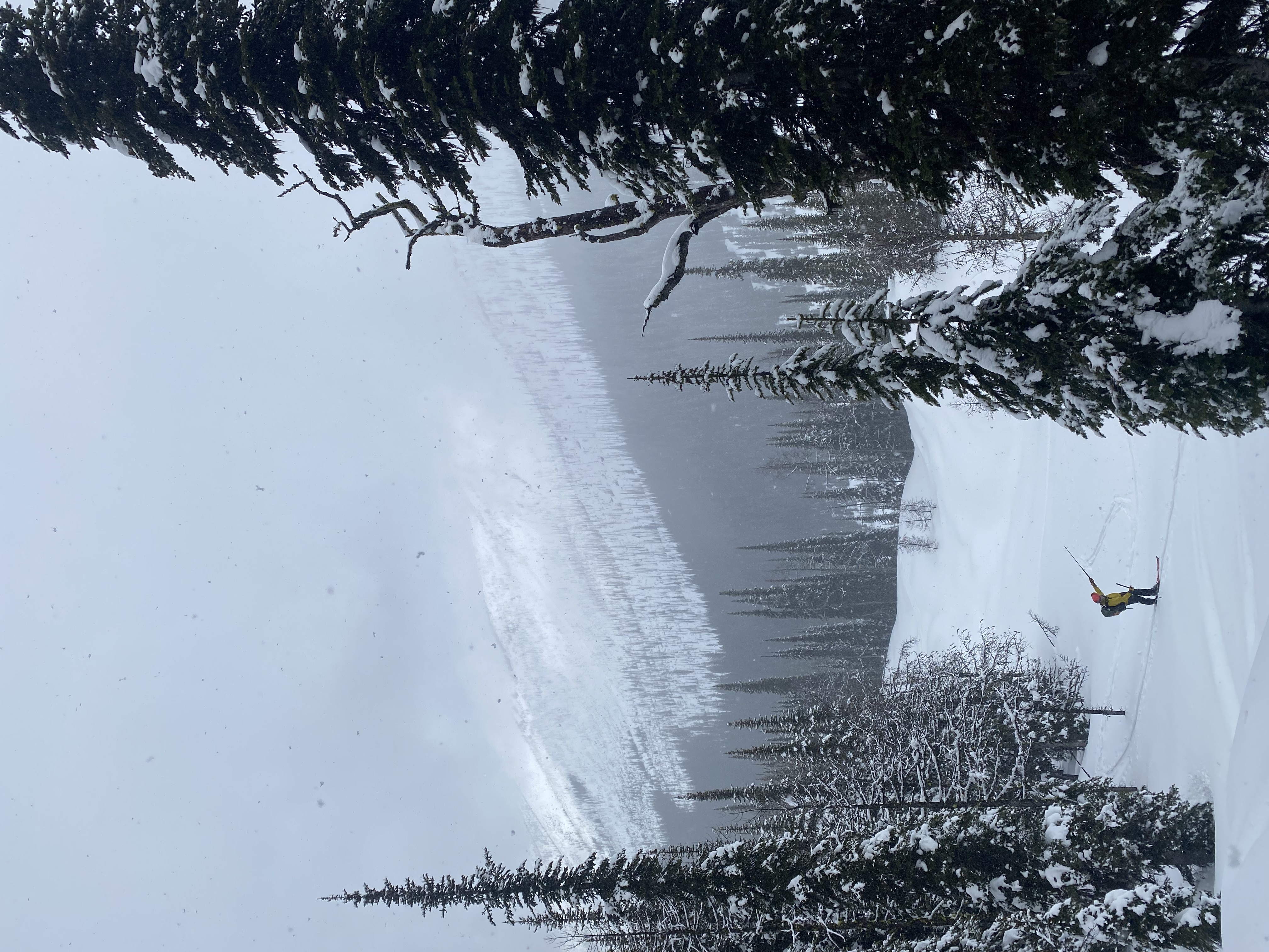 Observation photo