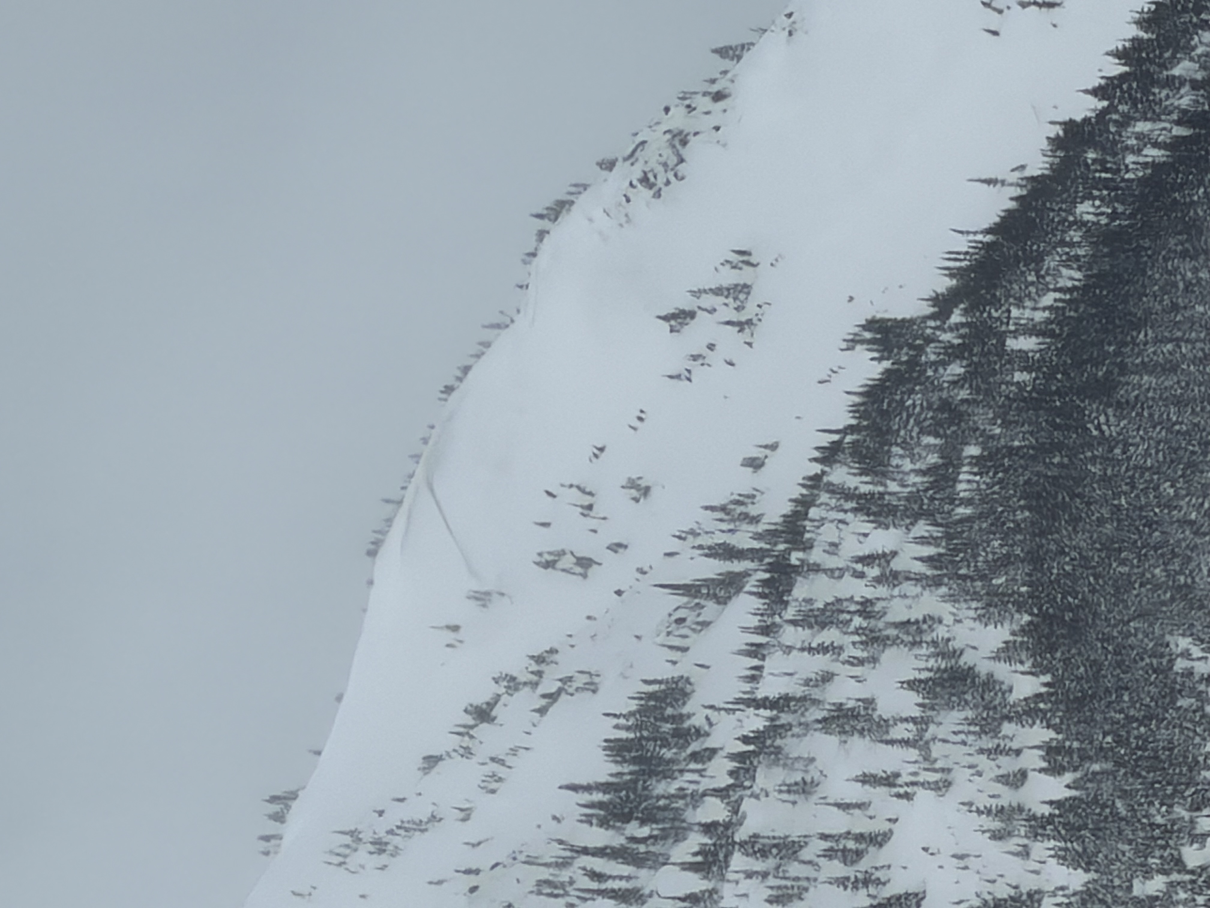 Observation photo