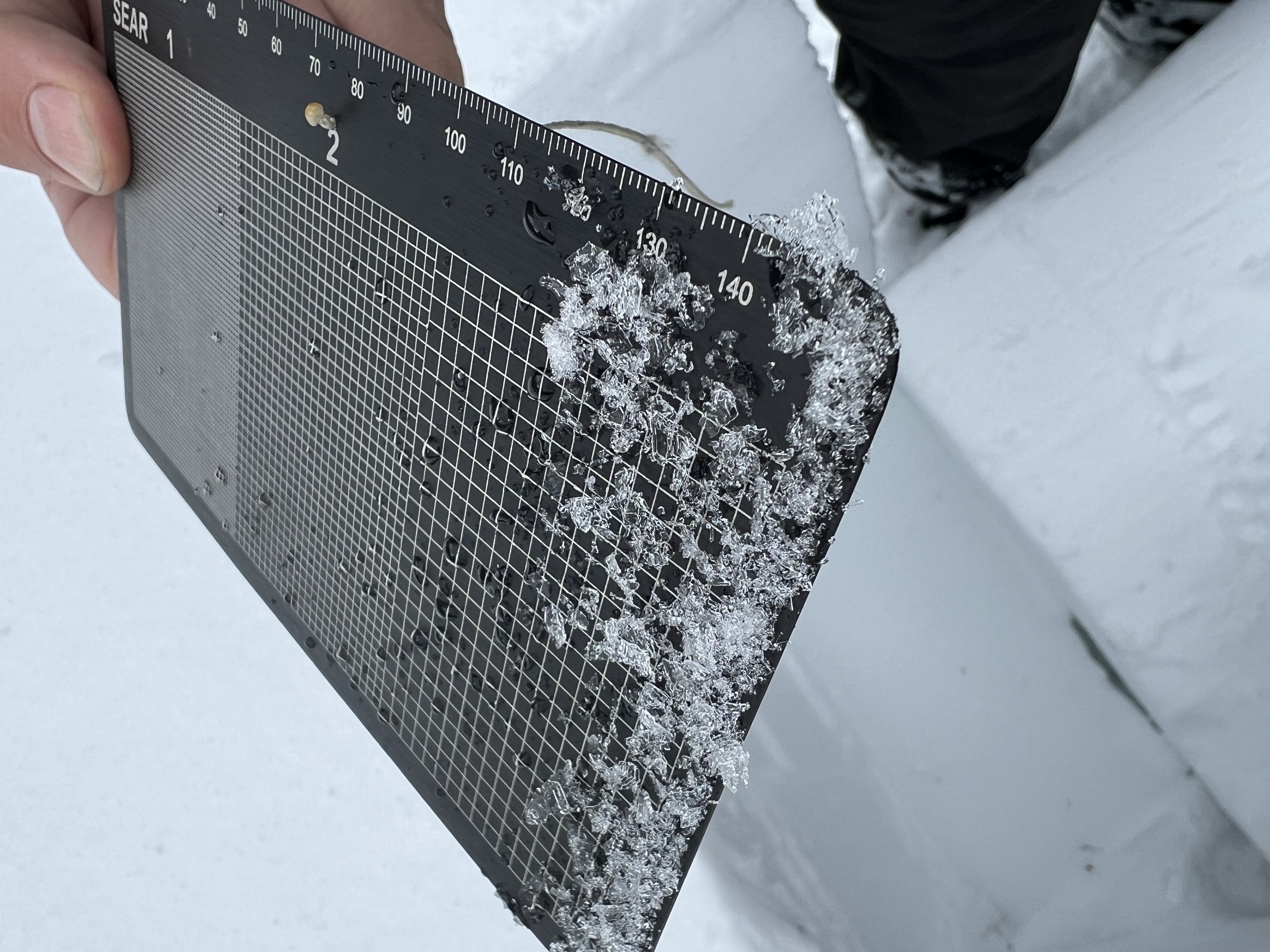 Observation photo