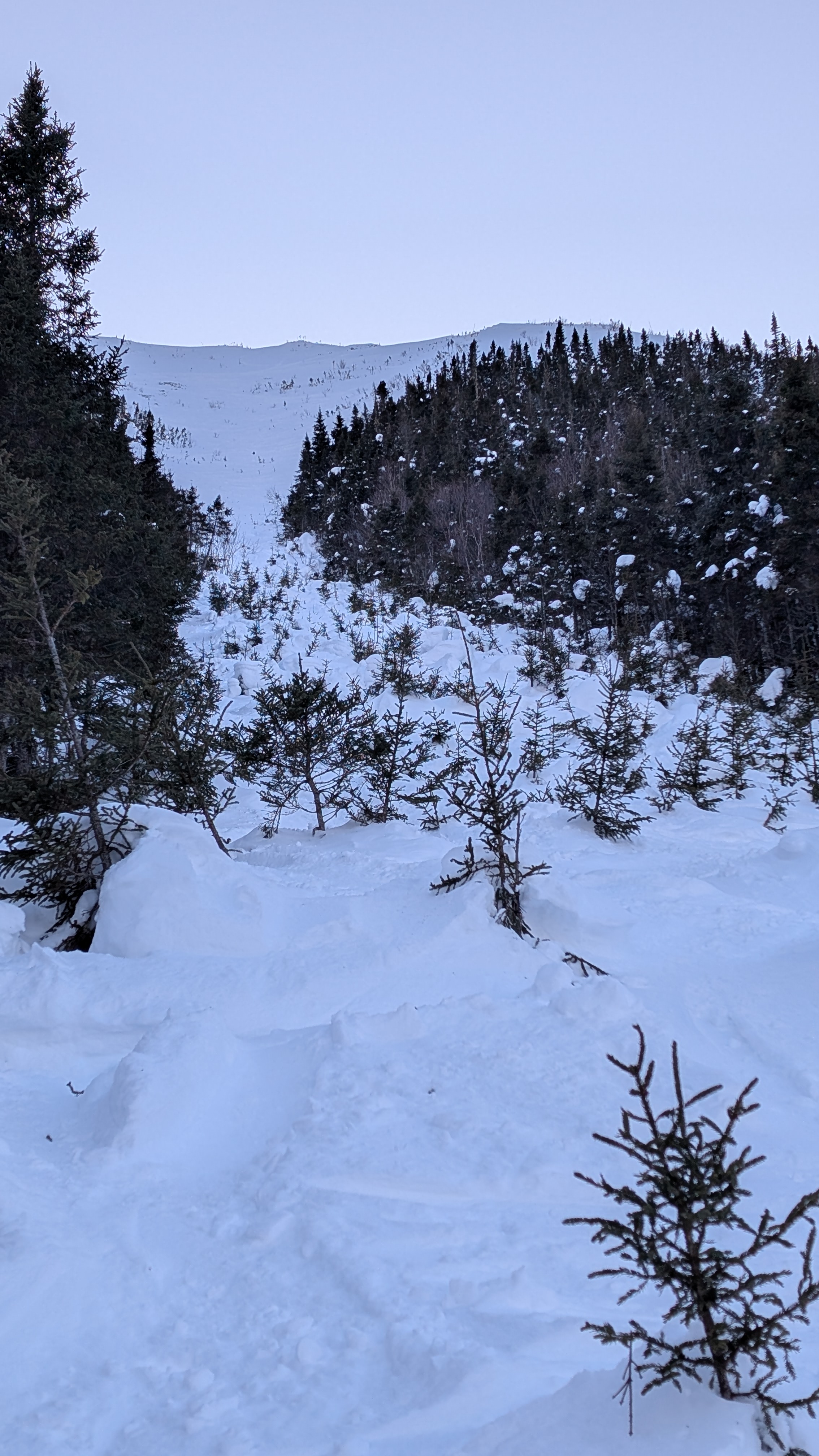 Observation photo