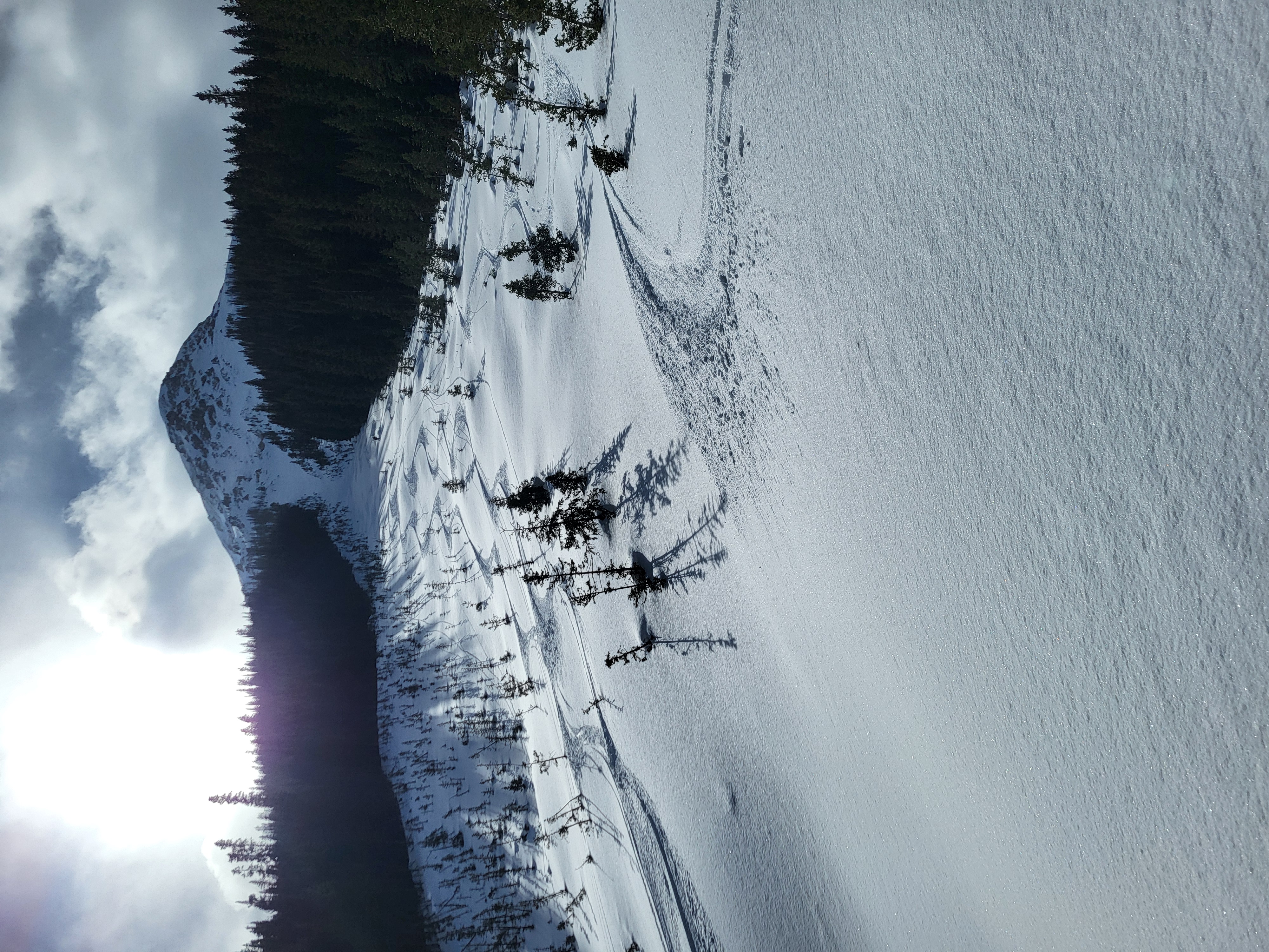 Observation photo