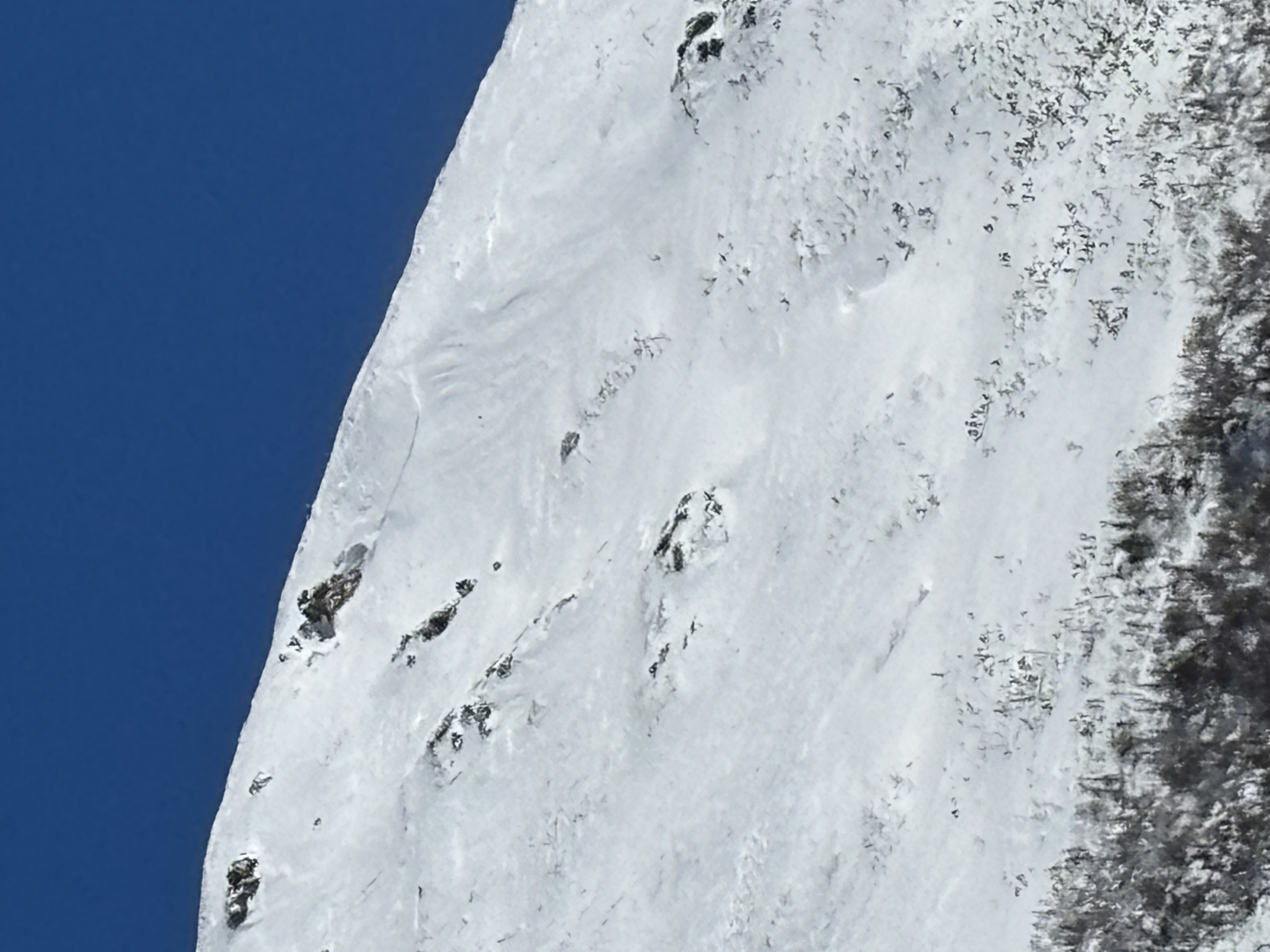 Observation photo