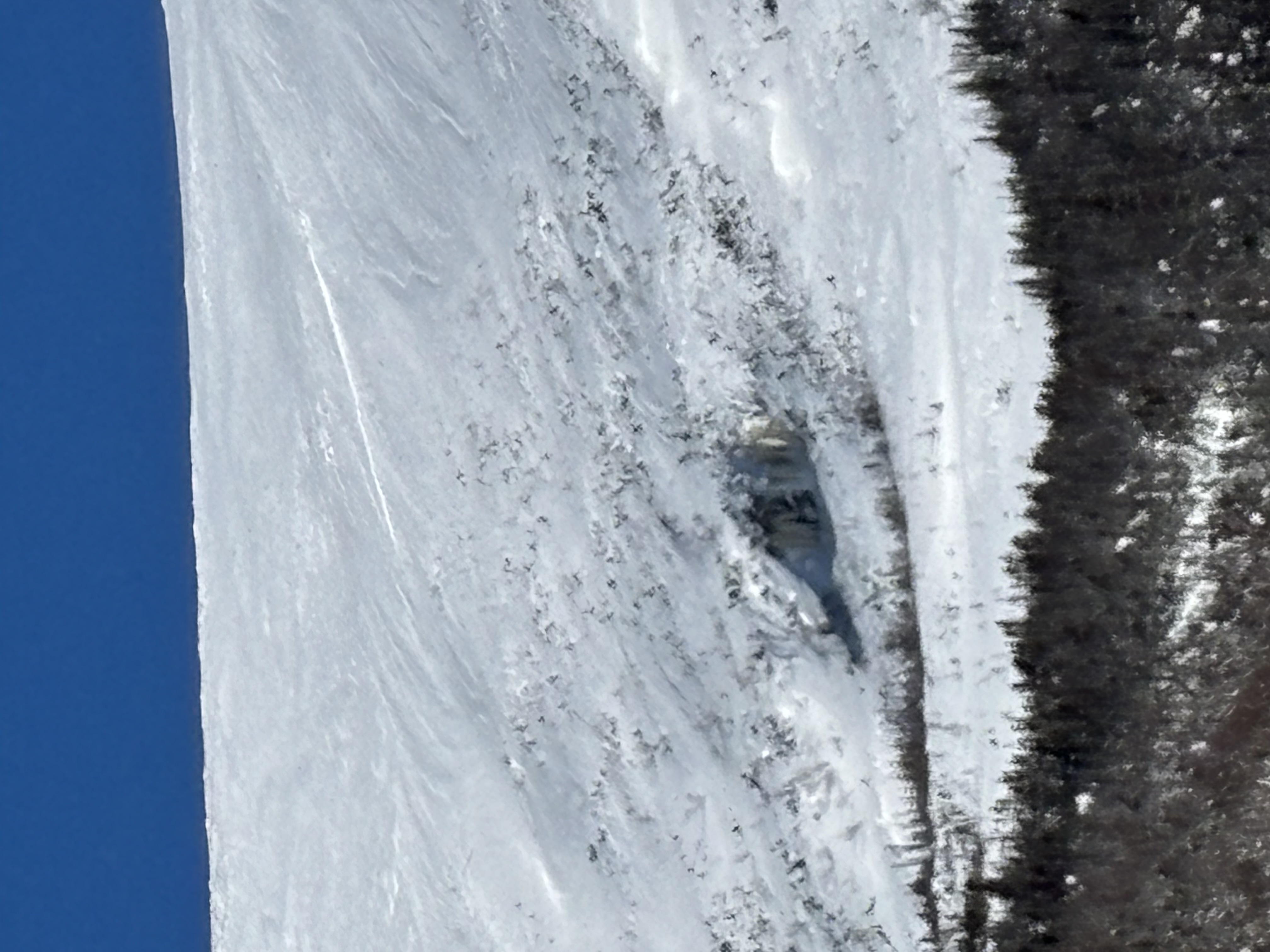 Observation photo