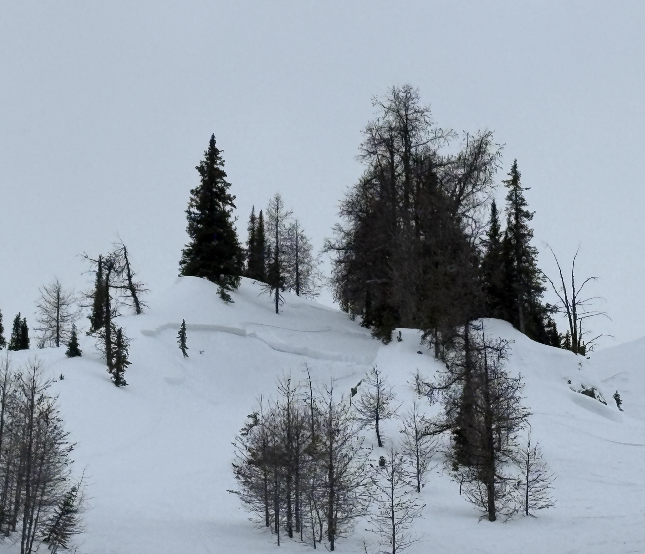 Observation photo