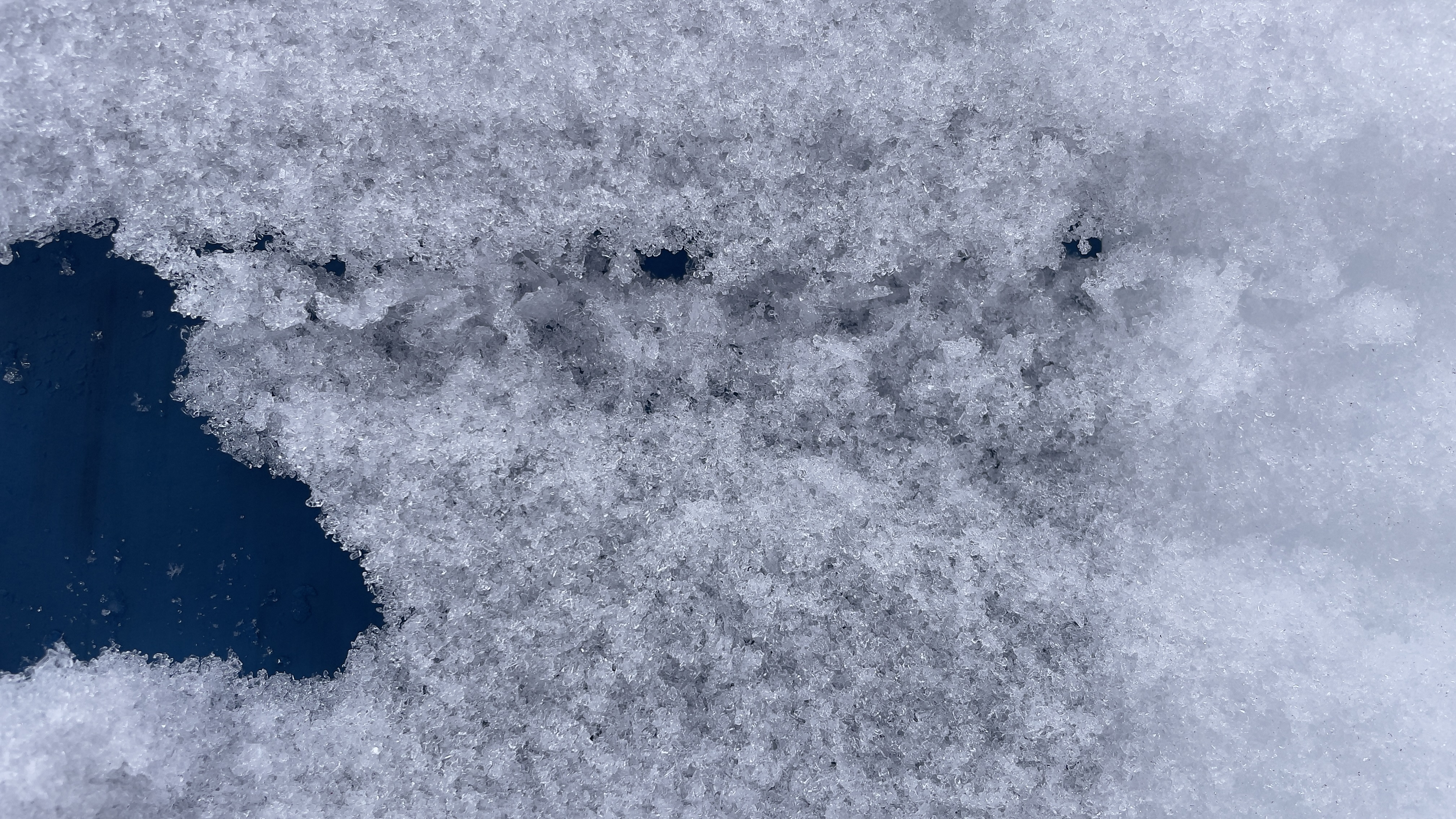 Observation photo