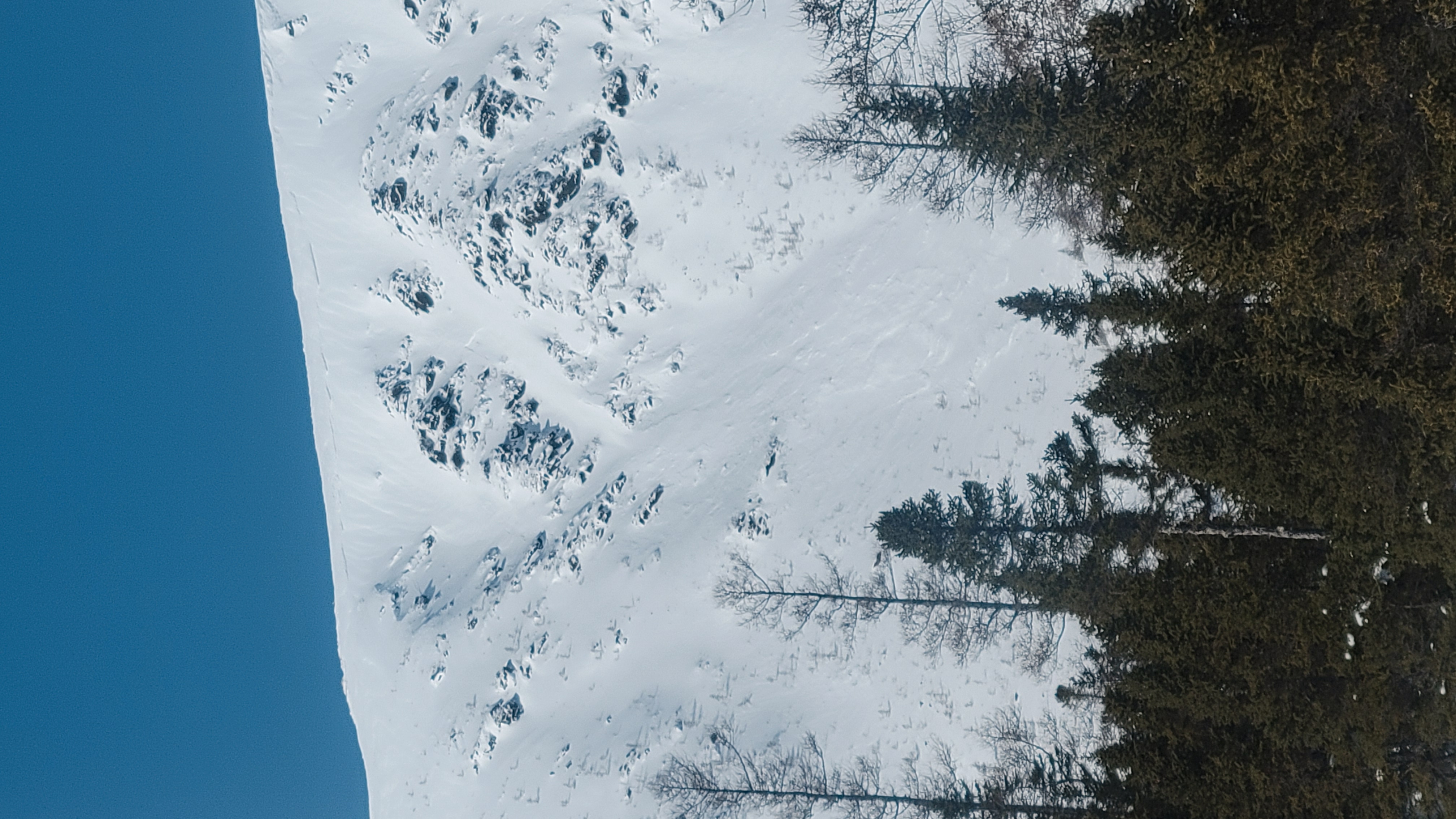 Observation photo