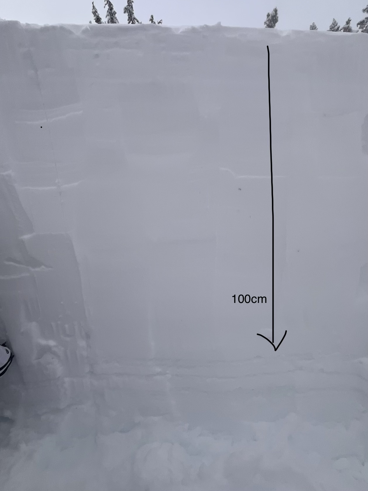 Observation photo