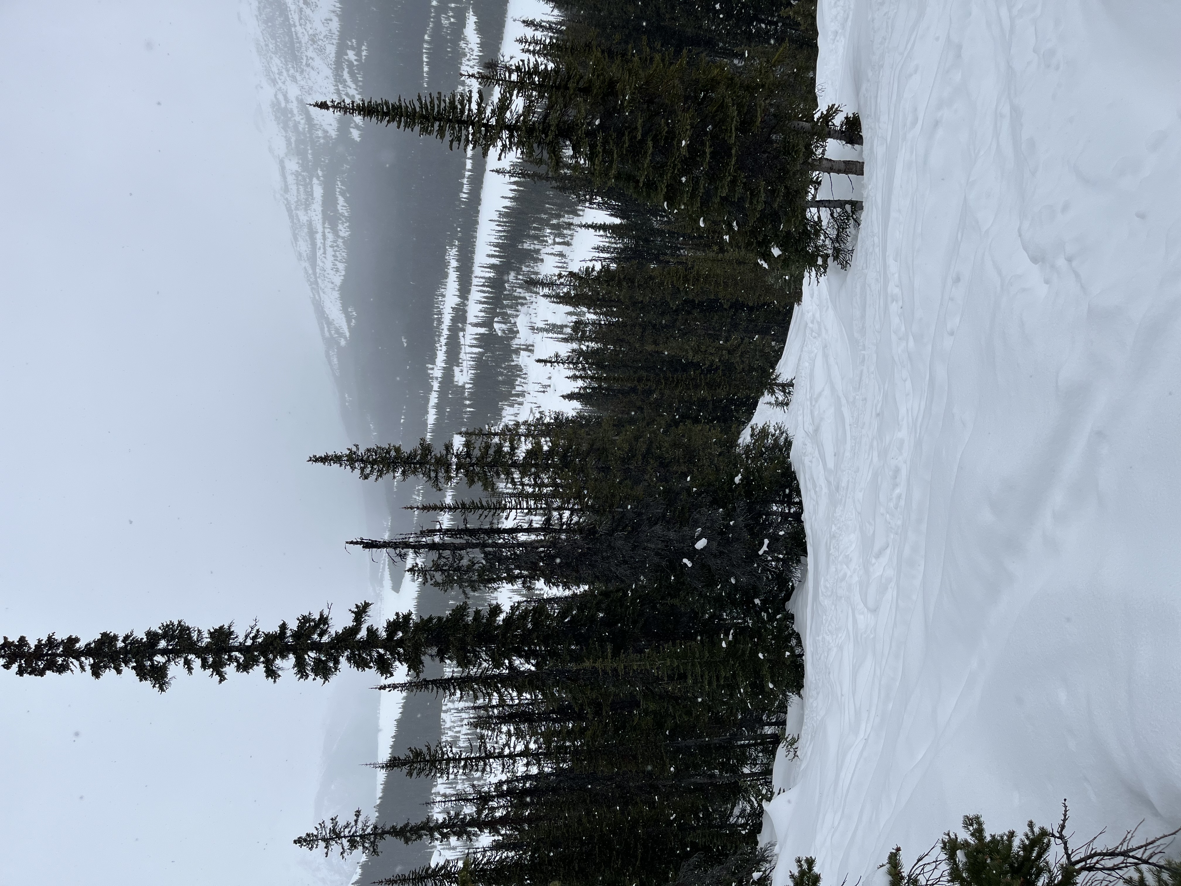 Observation photo