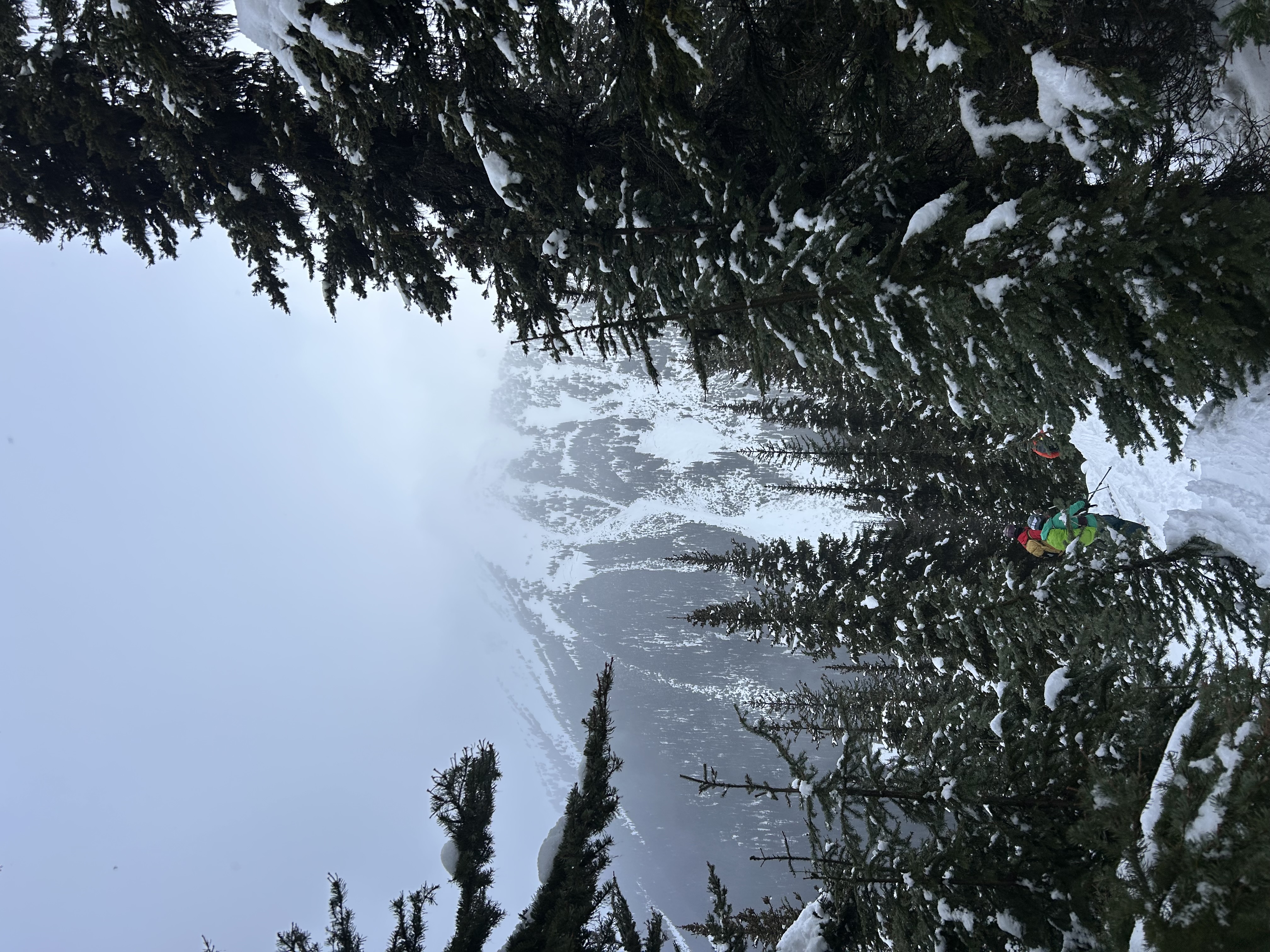 Observation photo