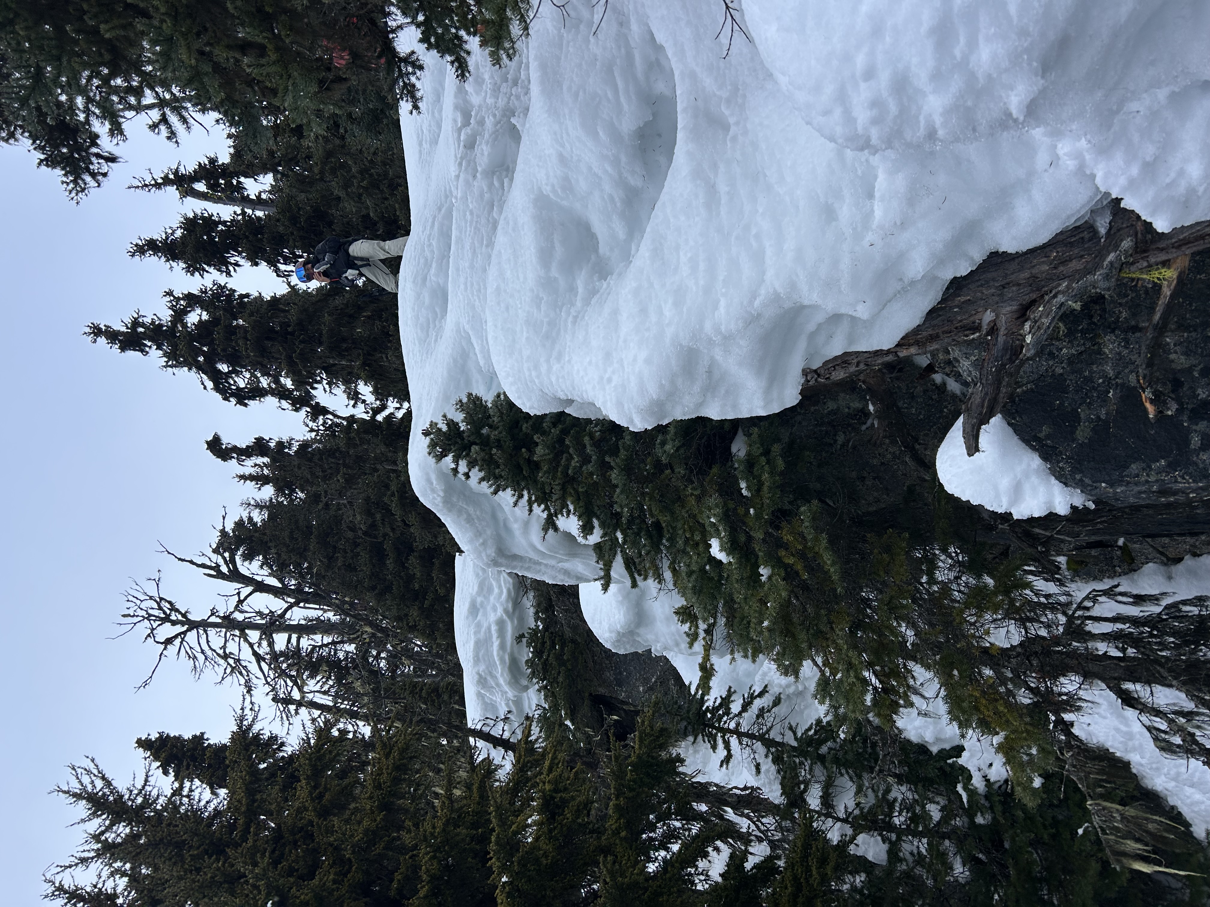 Observation photo