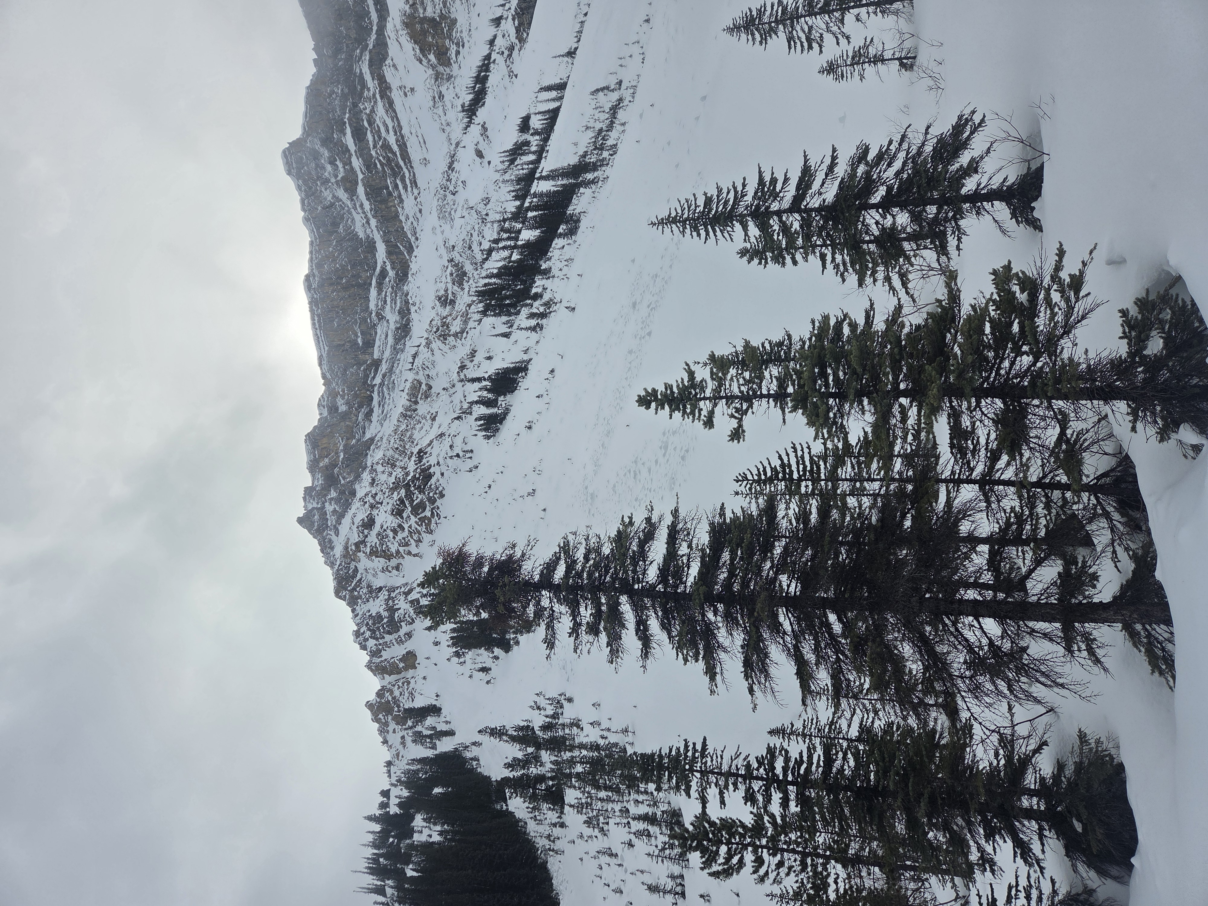 Observation photo