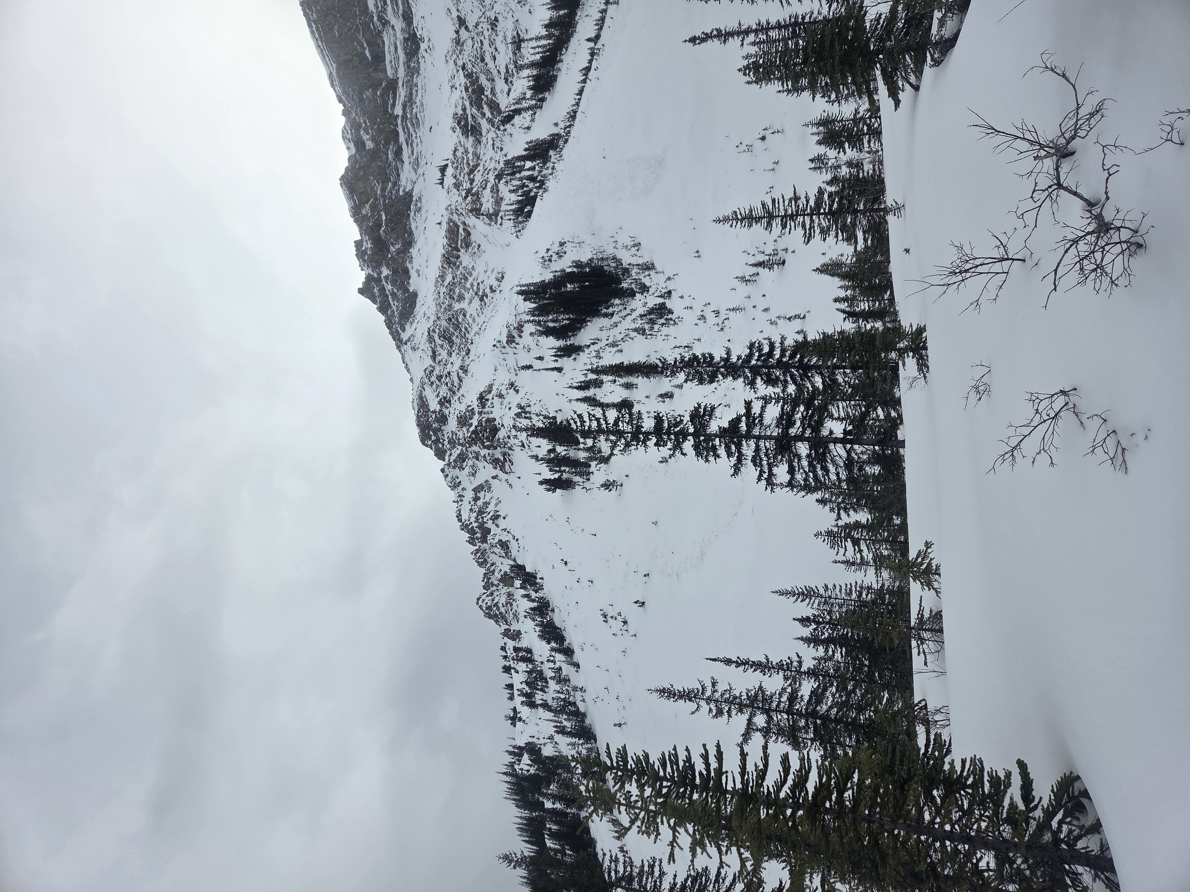Observation photo