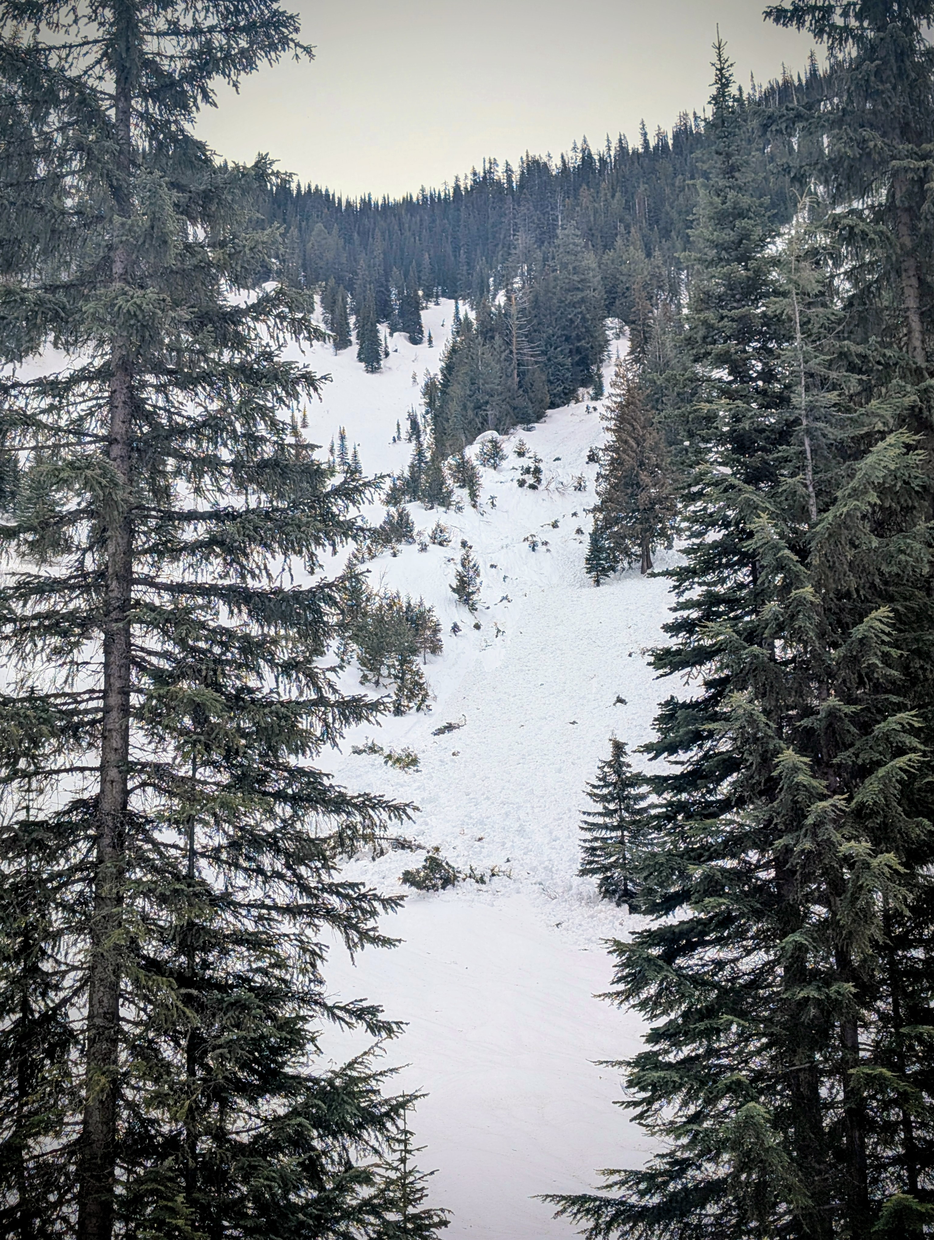 Observation photo
