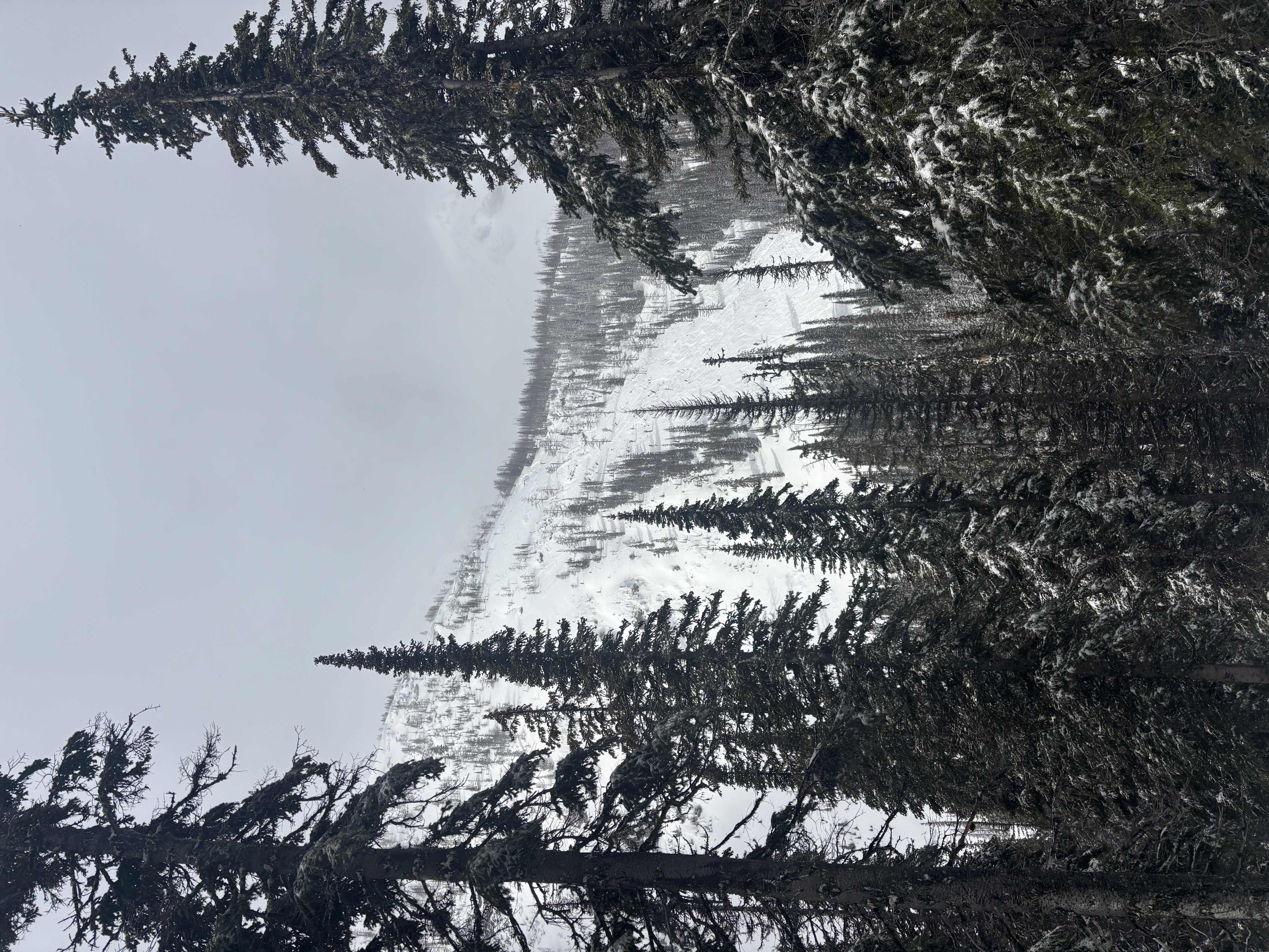 Observation photo