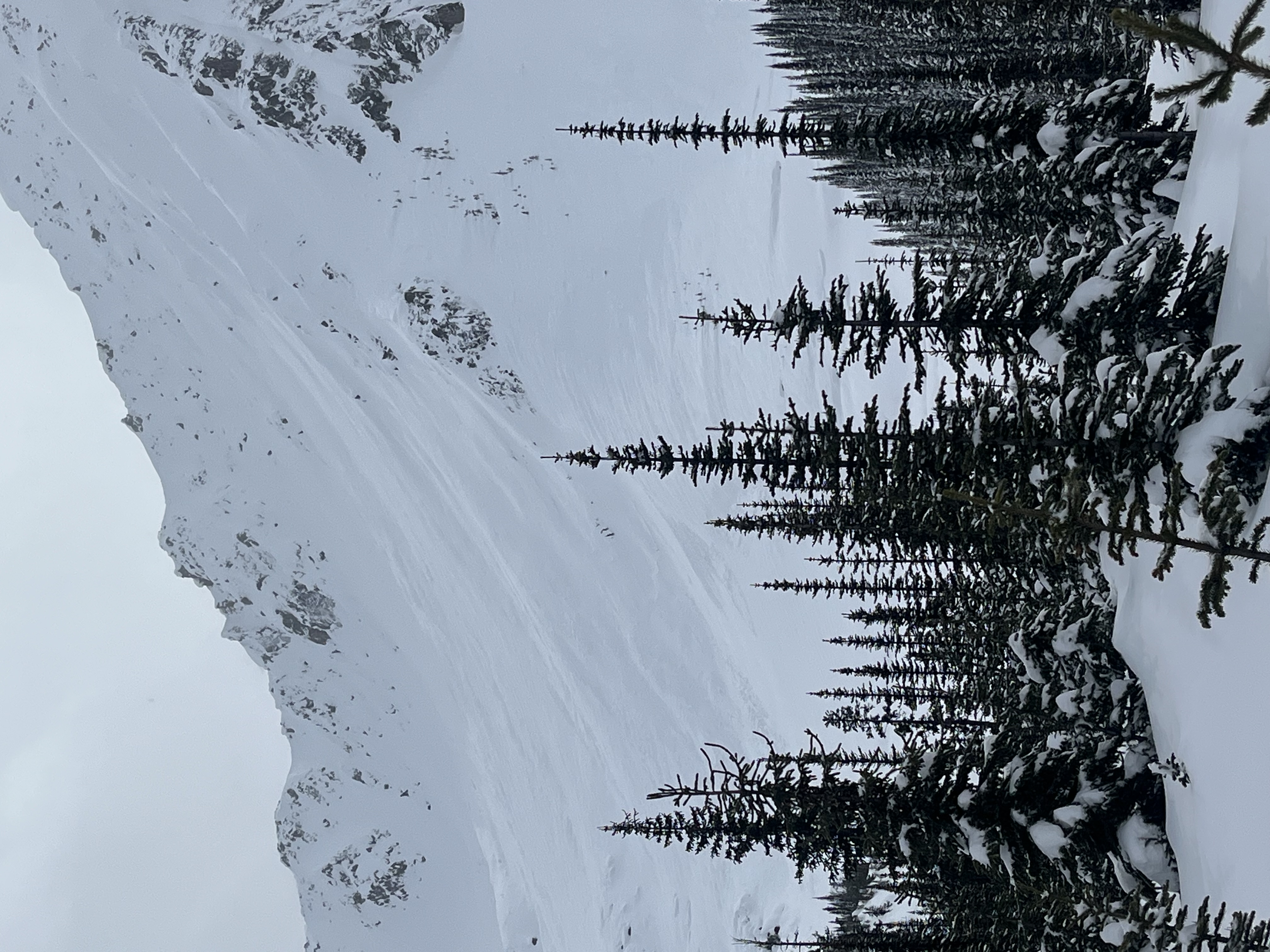 Observation photo