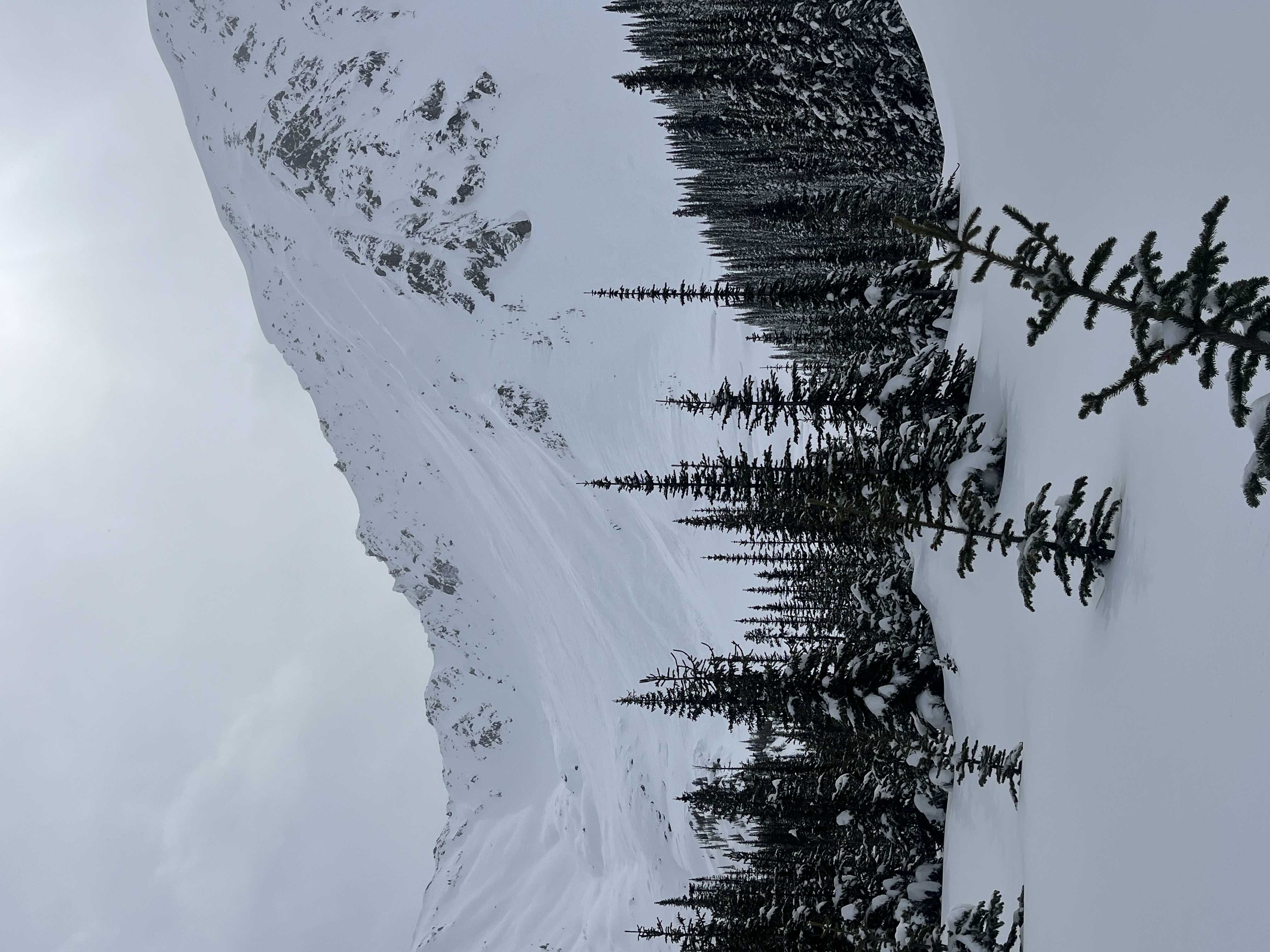 Observation photo