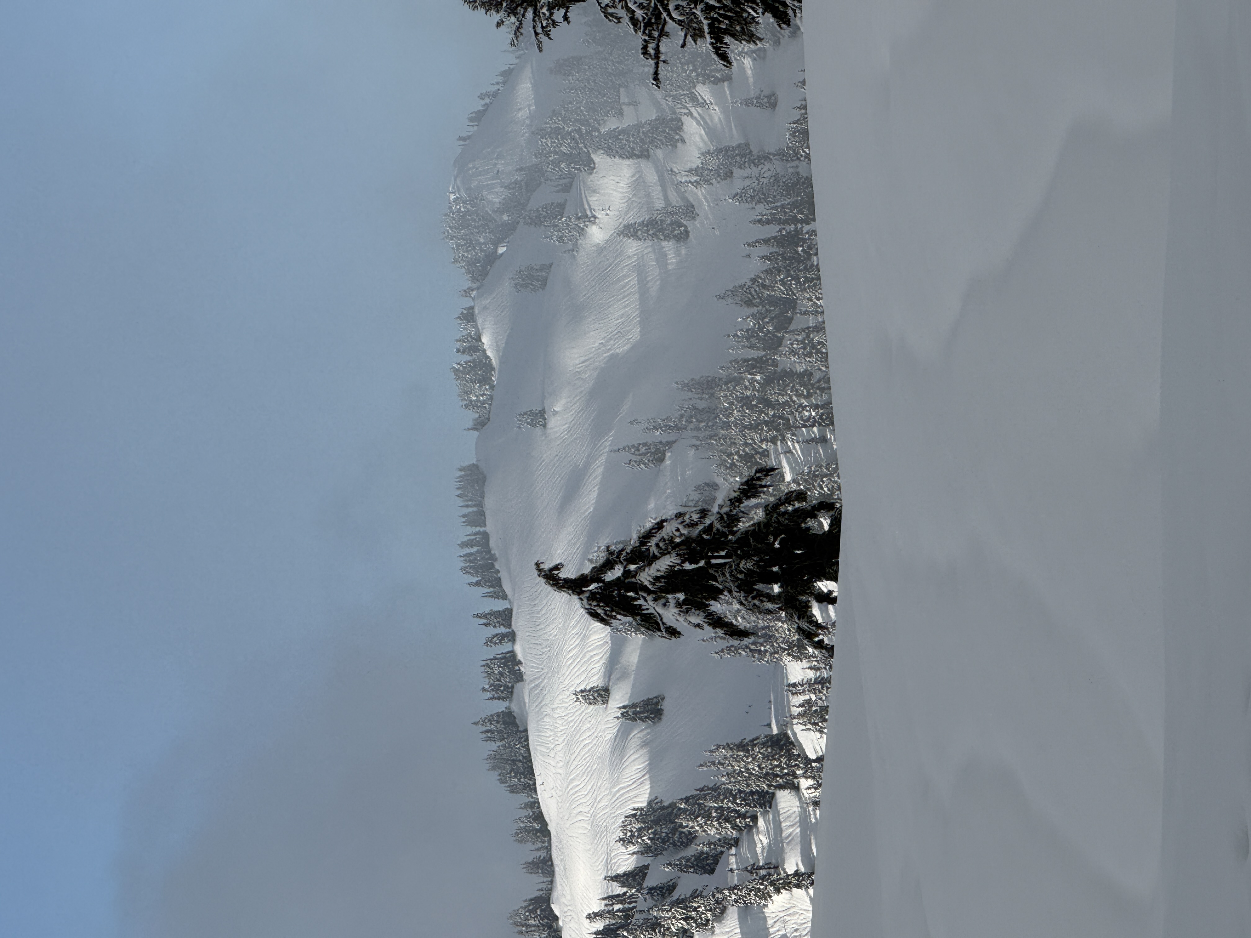 Observation photo