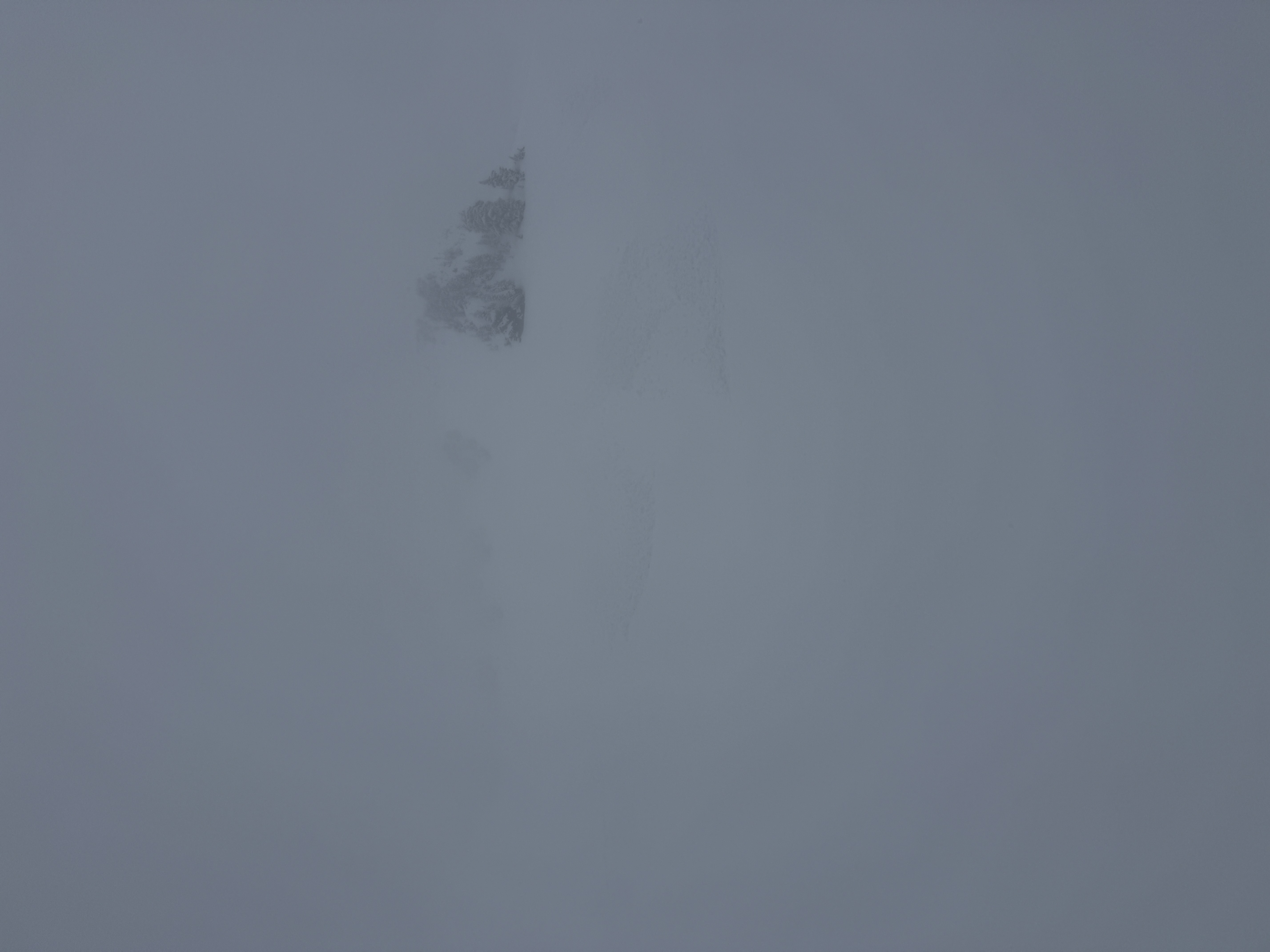 Observation photo