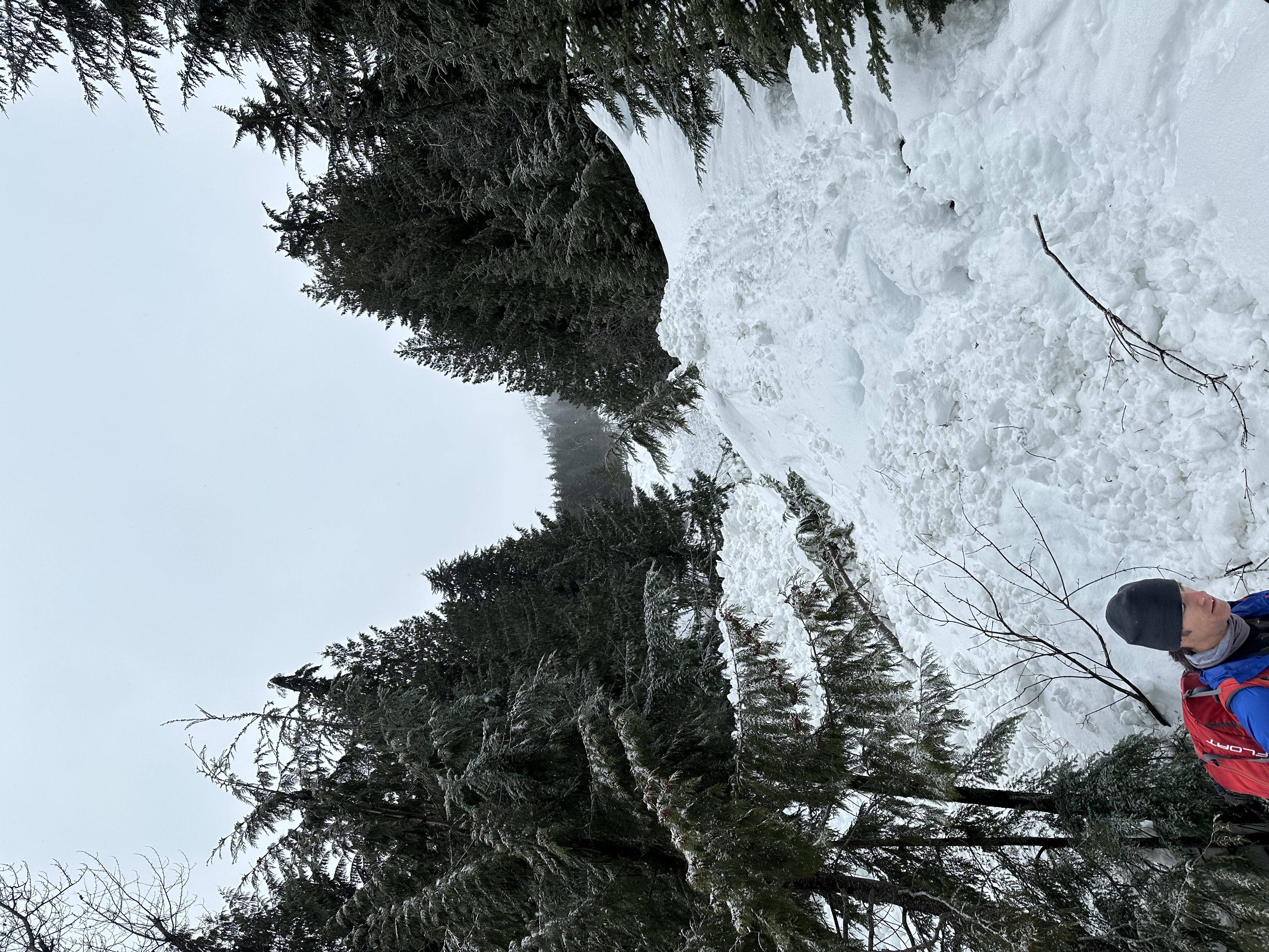 Observation photo