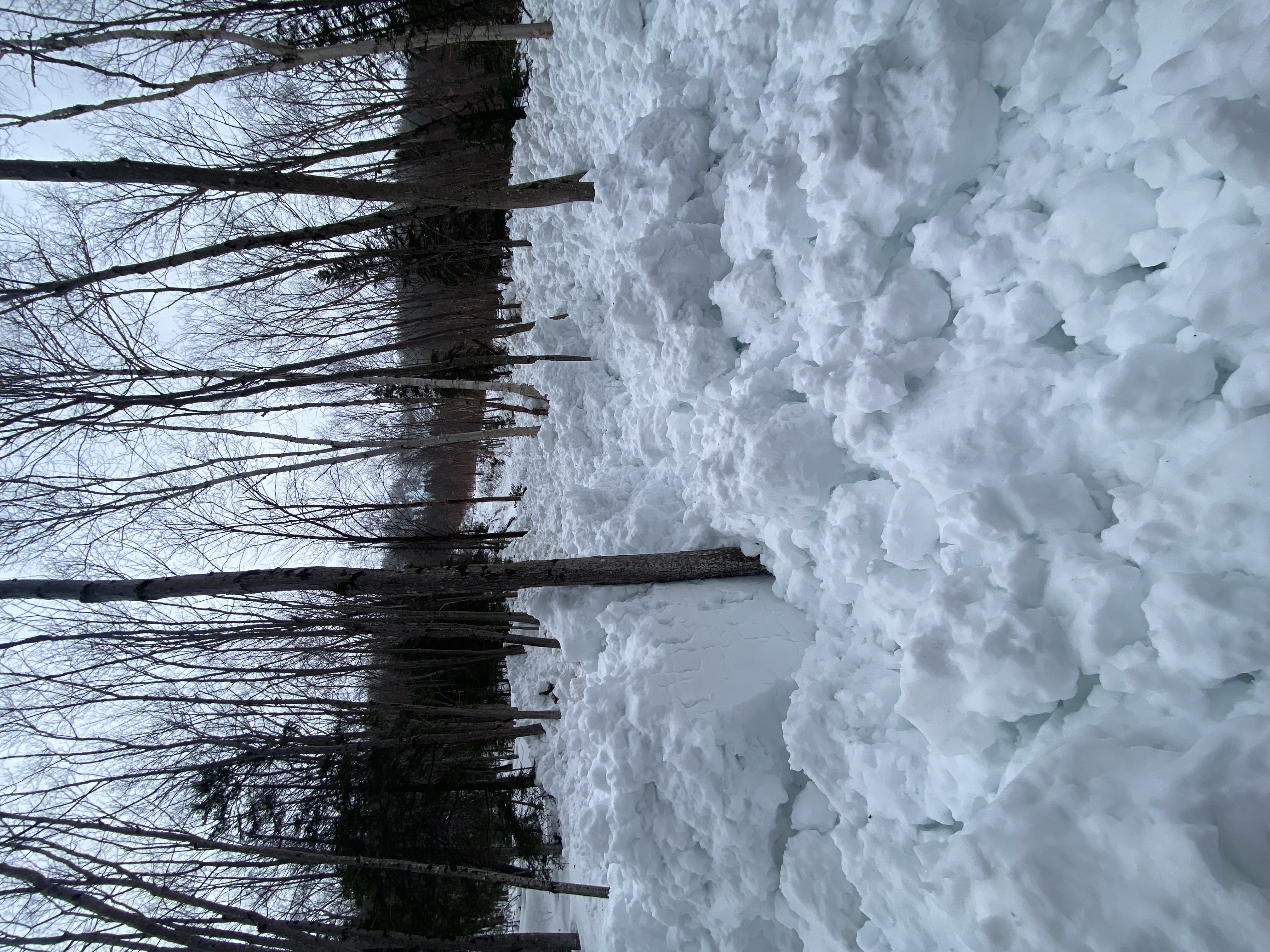 Observation photo