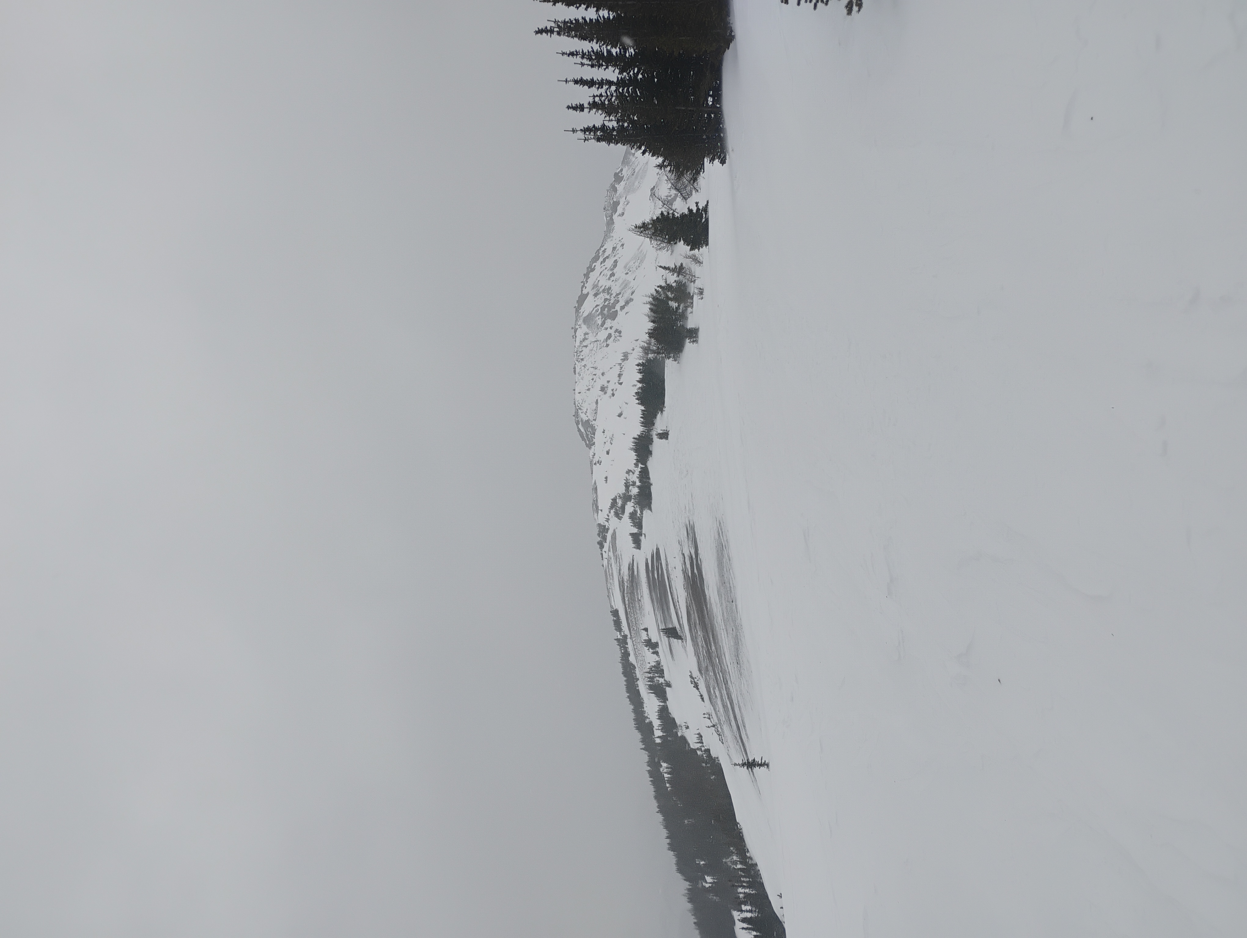 Observation photo