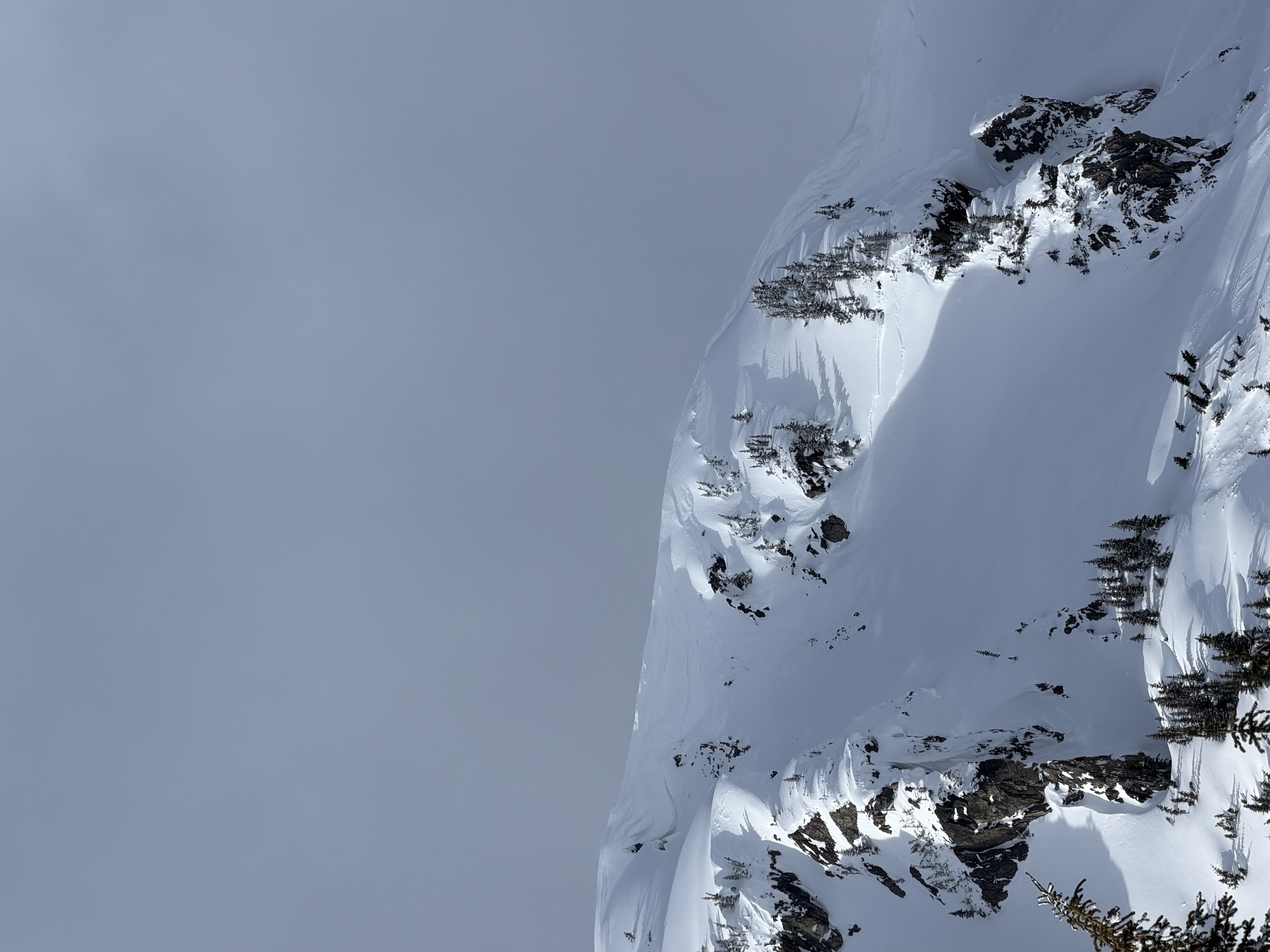 Observation photo