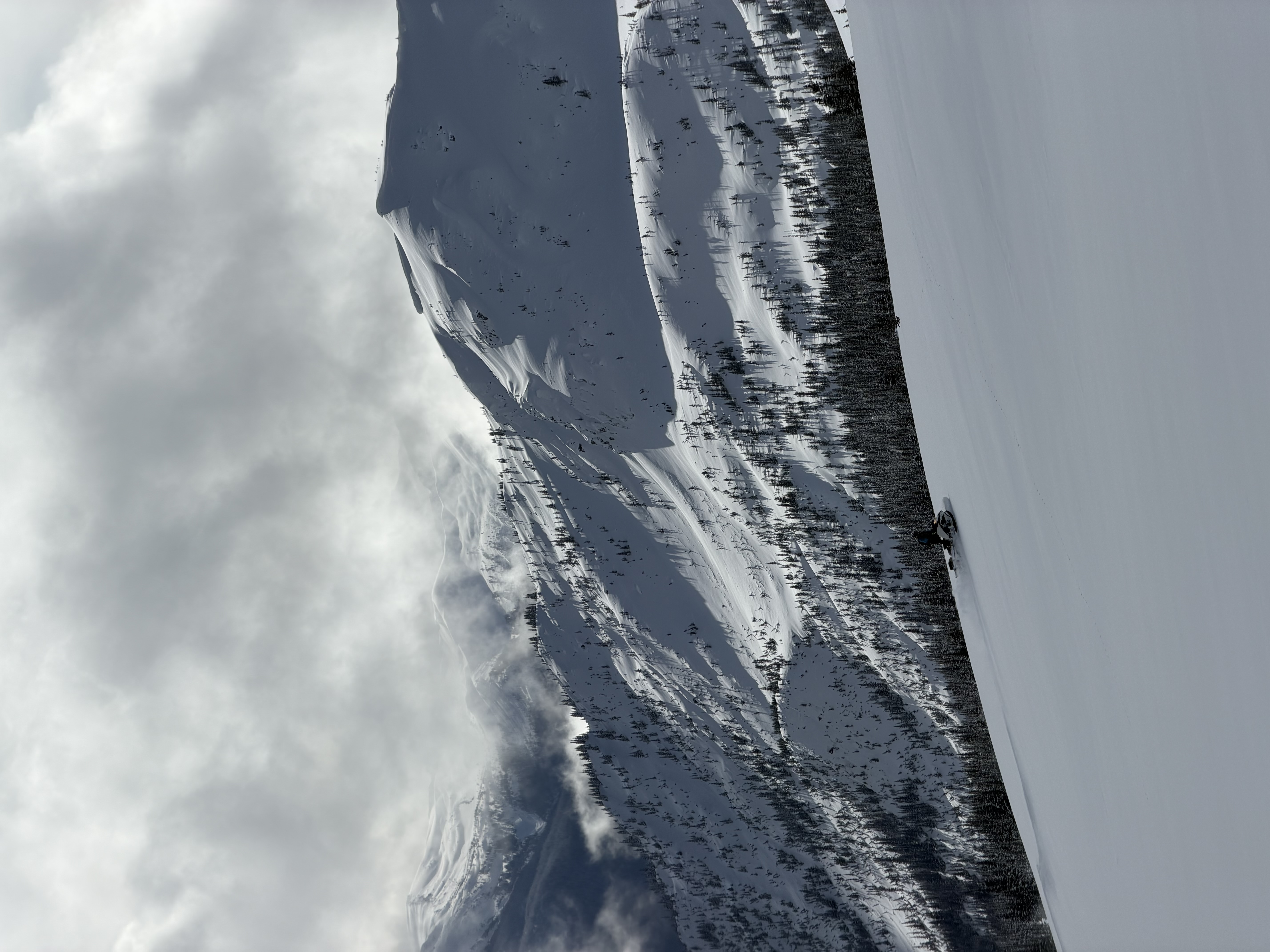 Observation photo