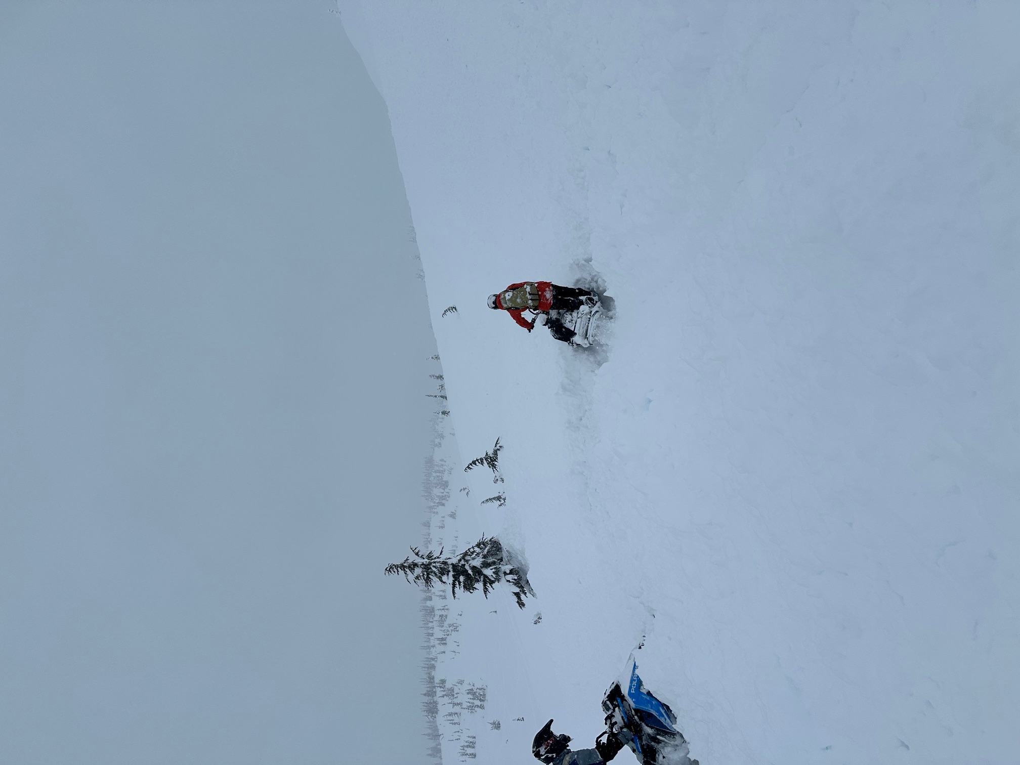 Observation photo