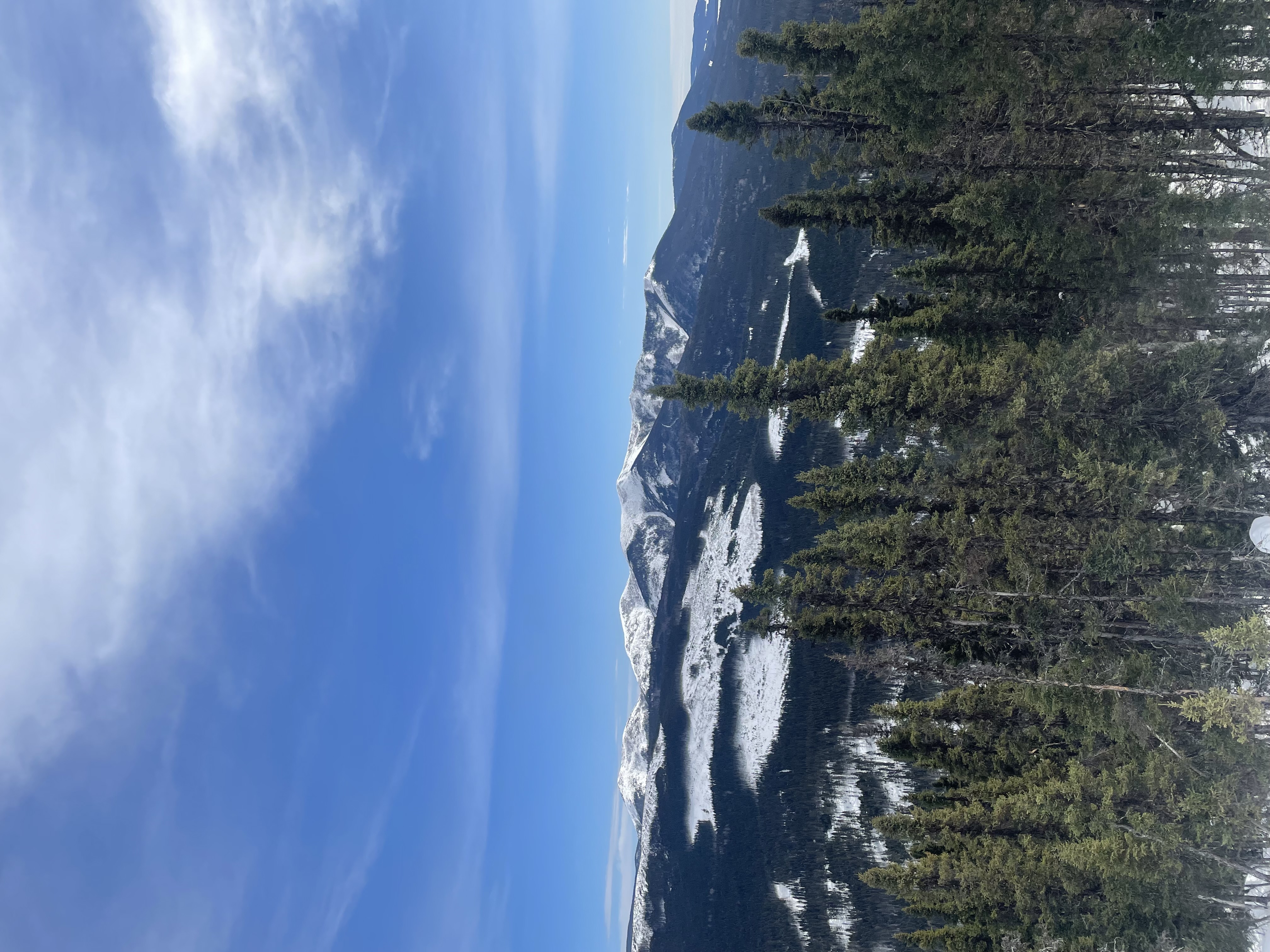Observation photo
