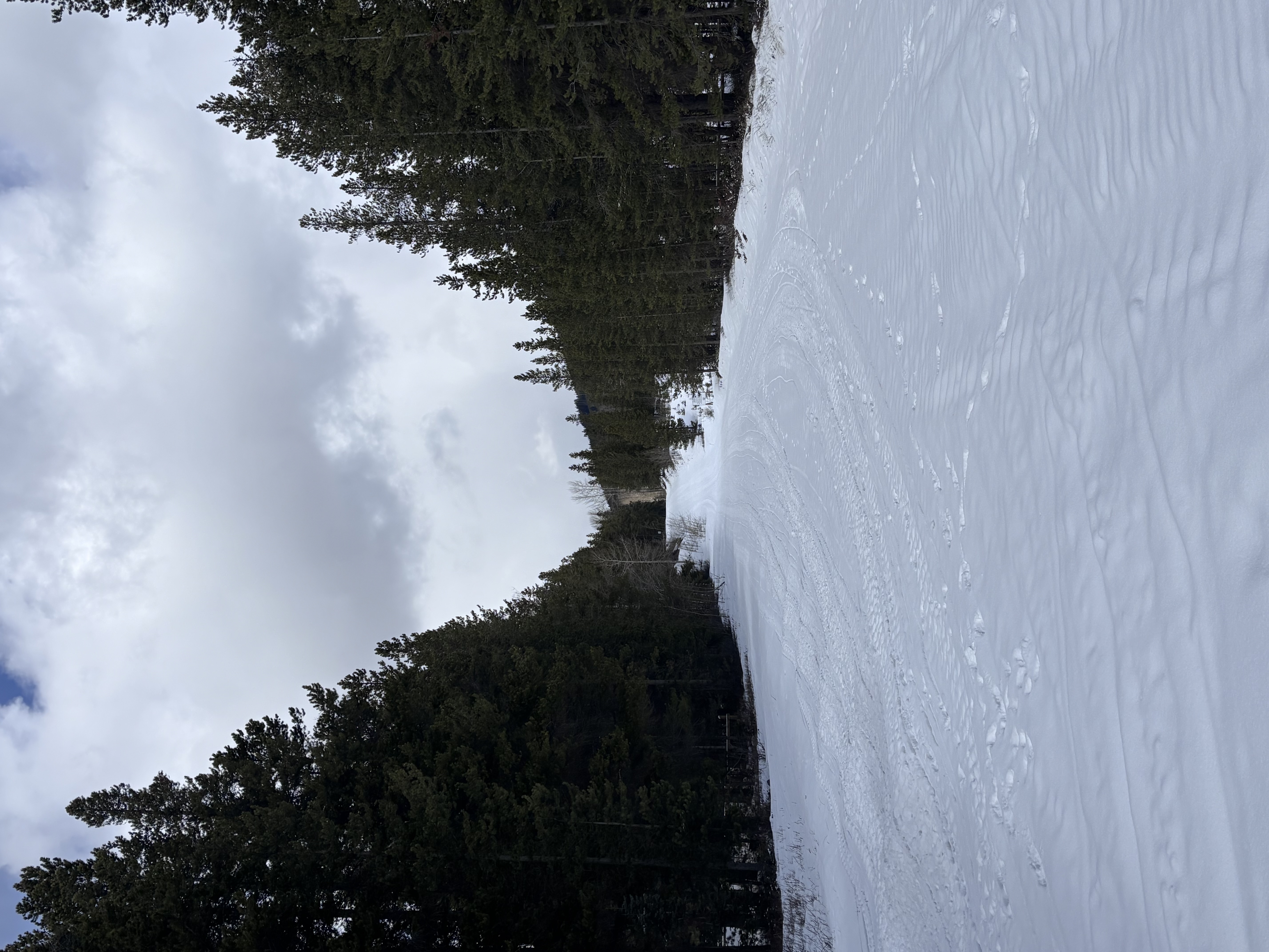 Observation photo