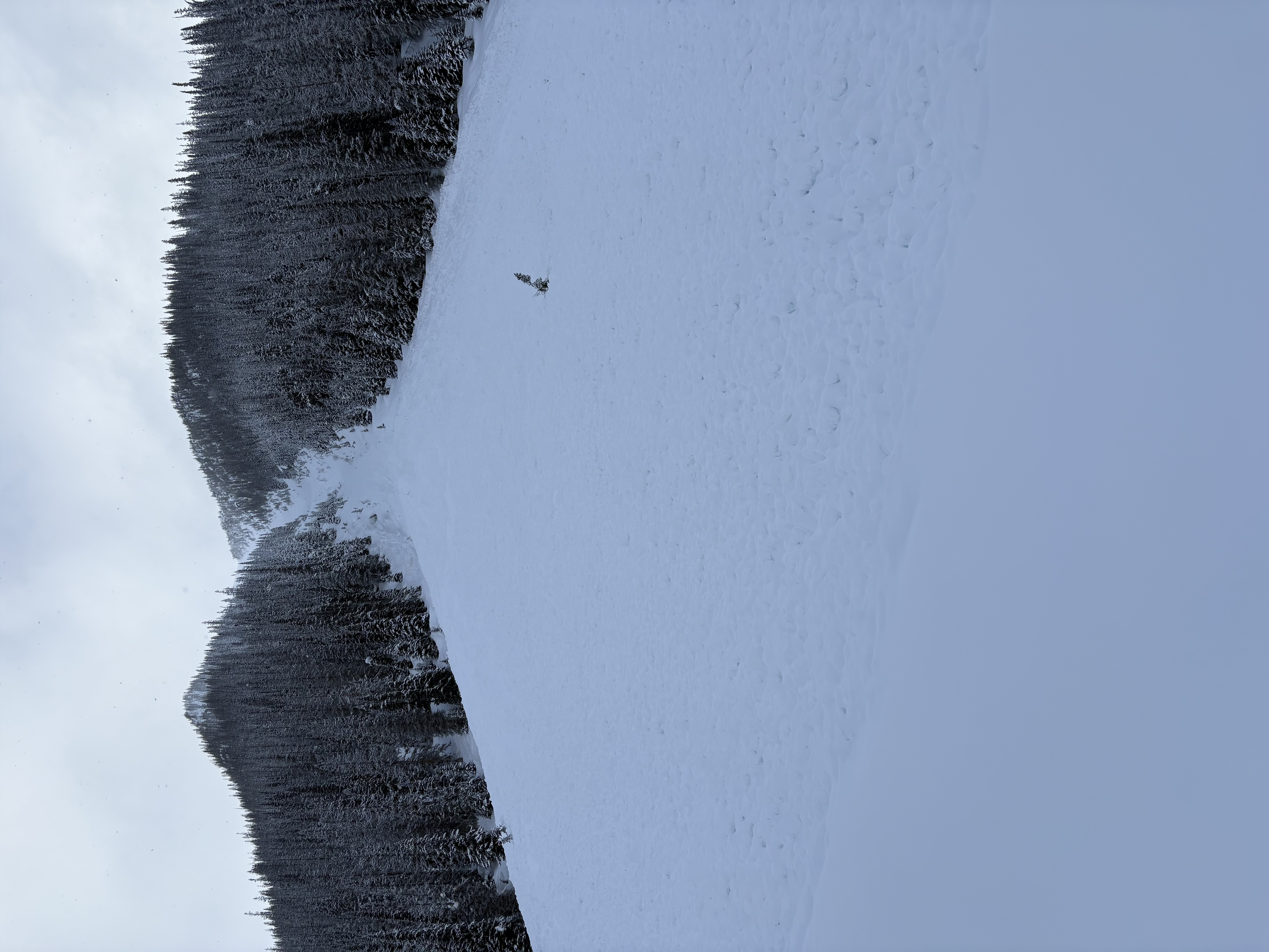 Observation photo