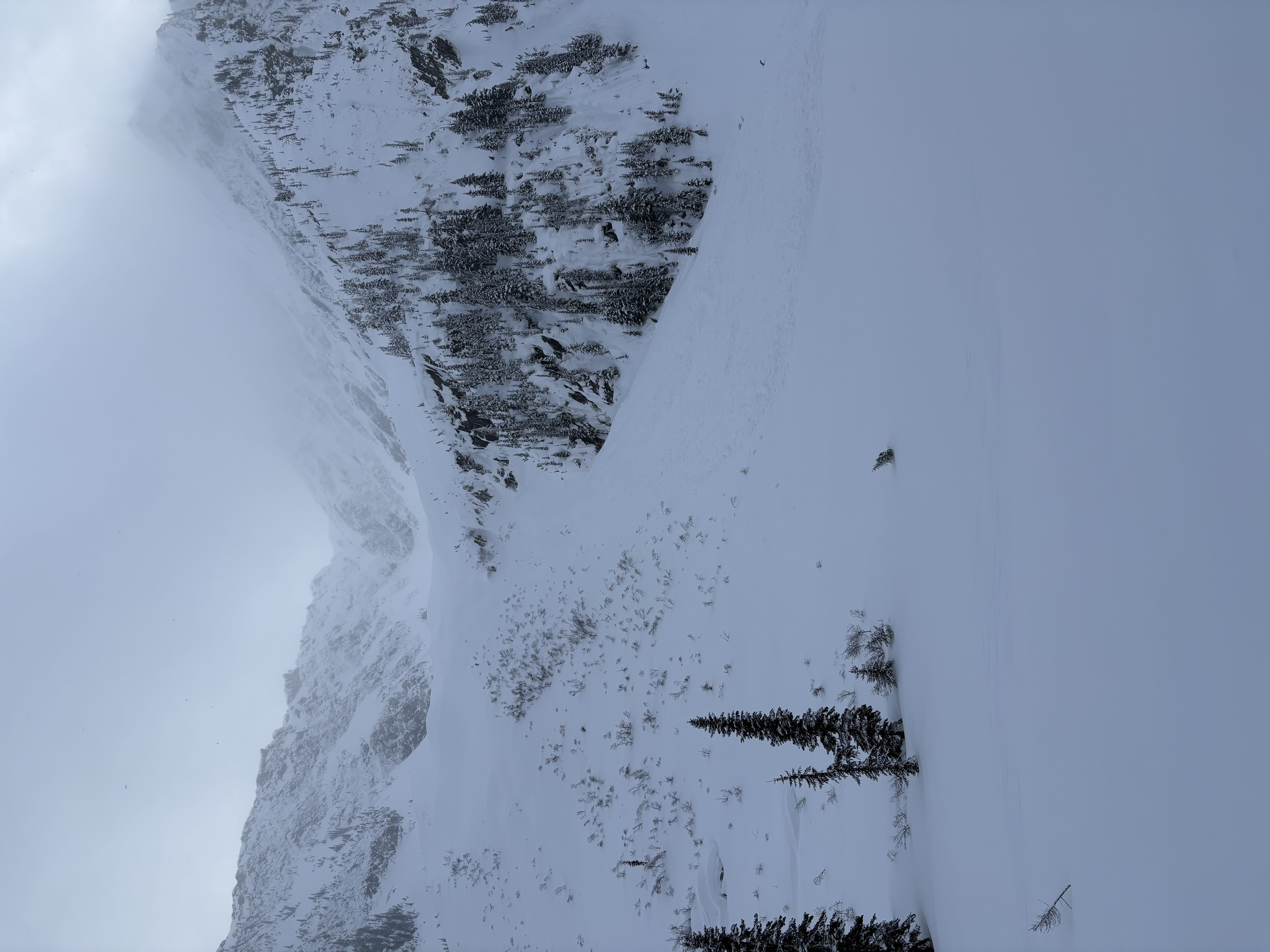 Observation photo
