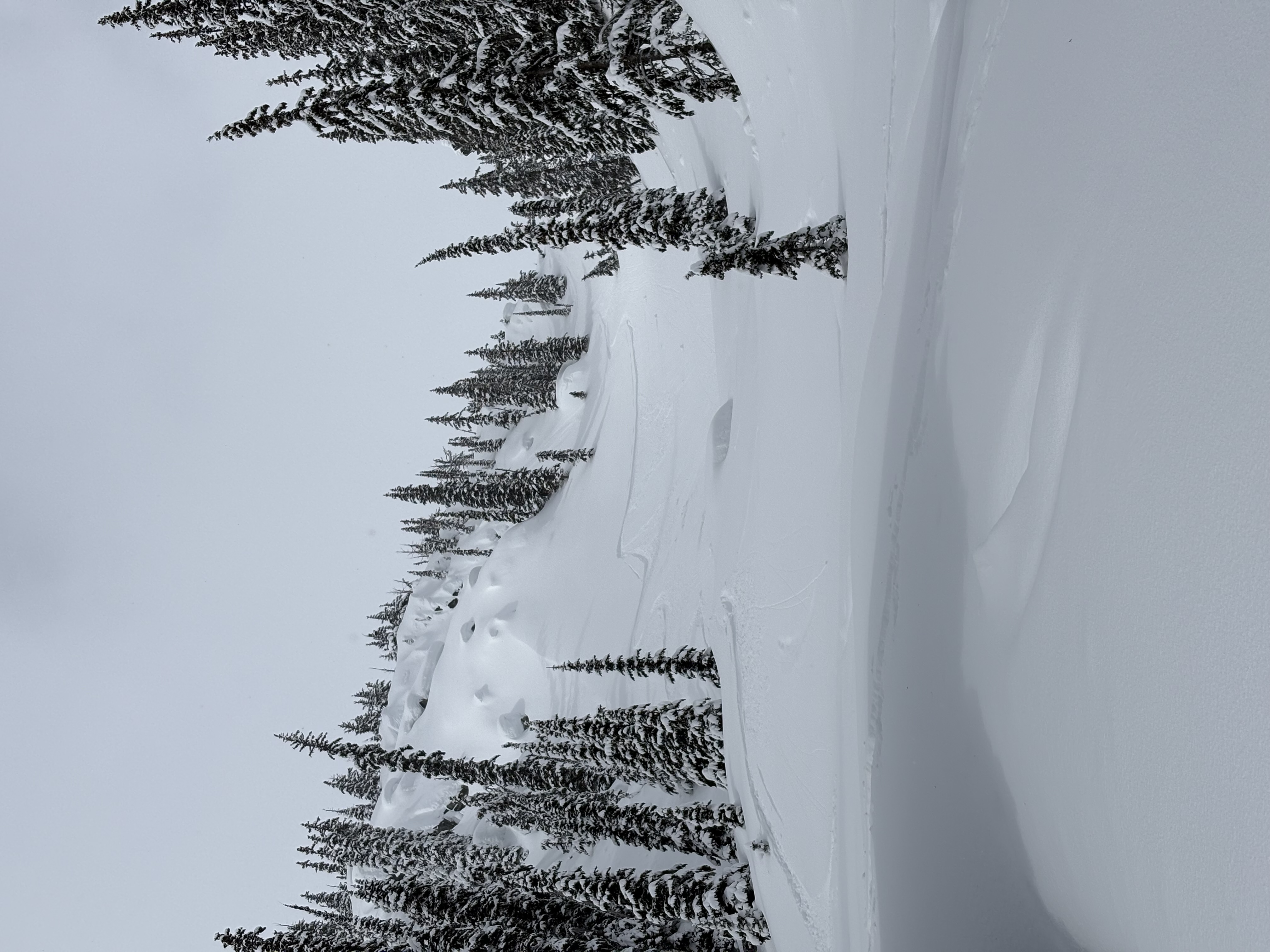 Observation photo