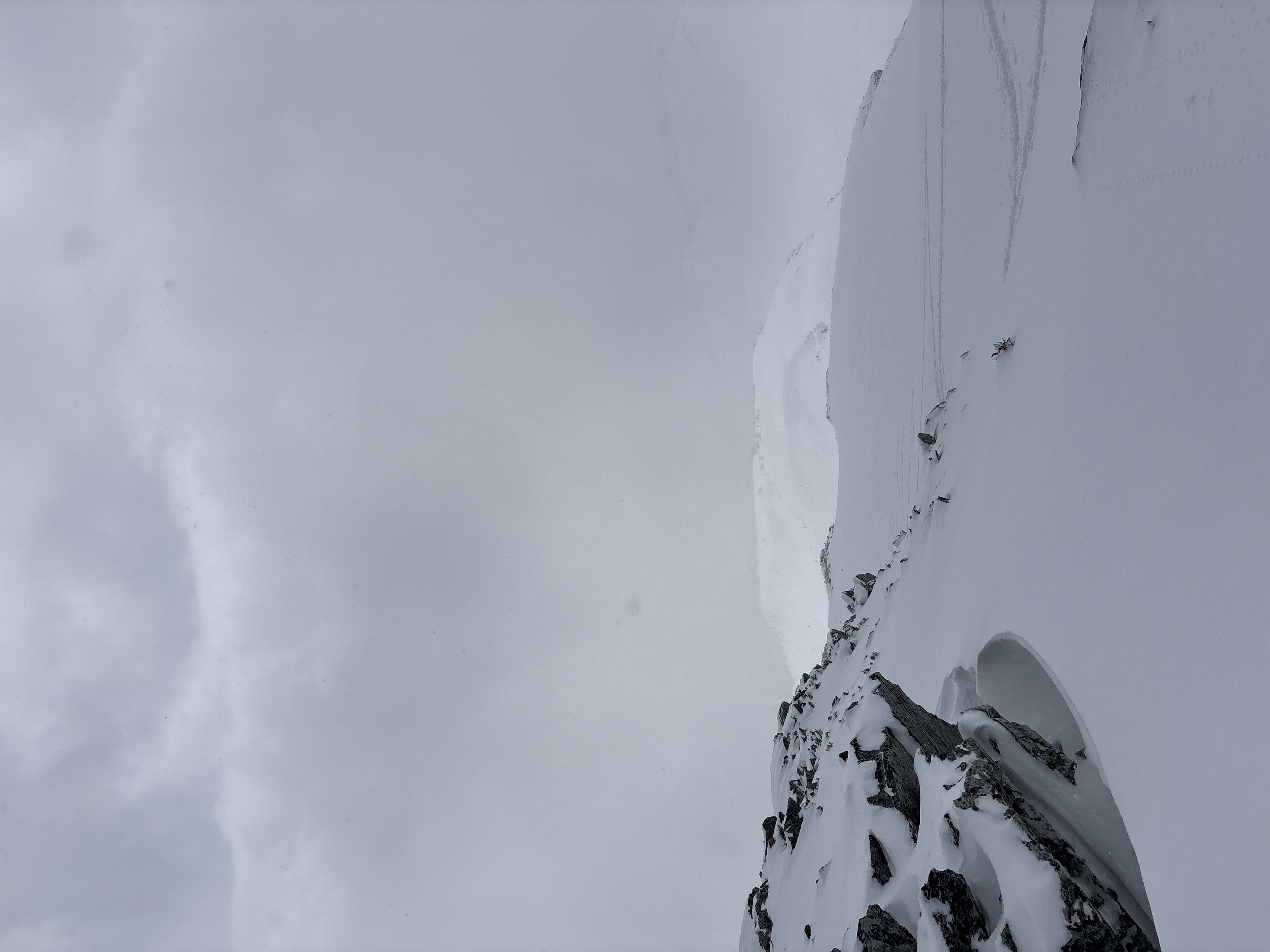 Observation photo