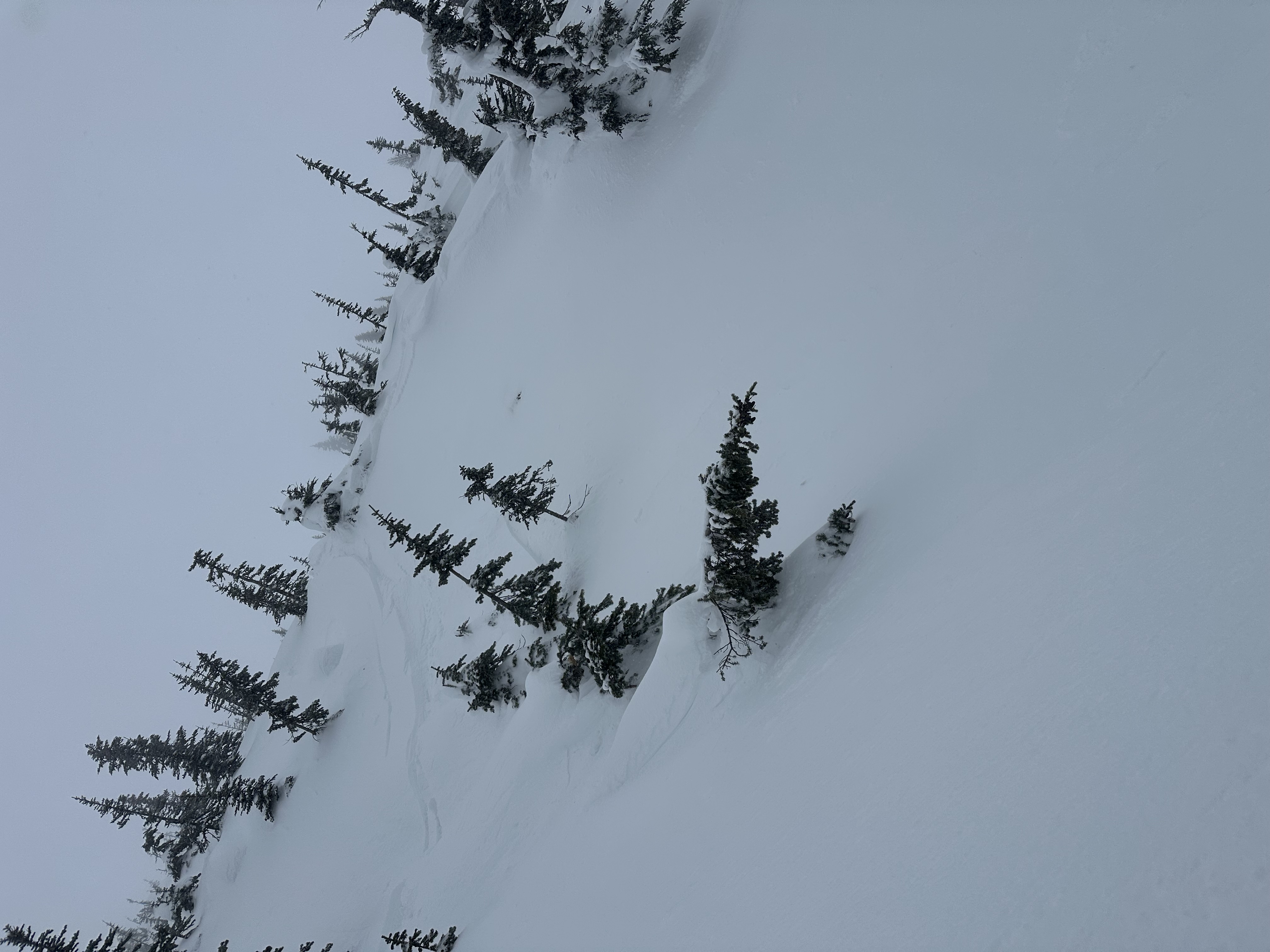 Observation photo