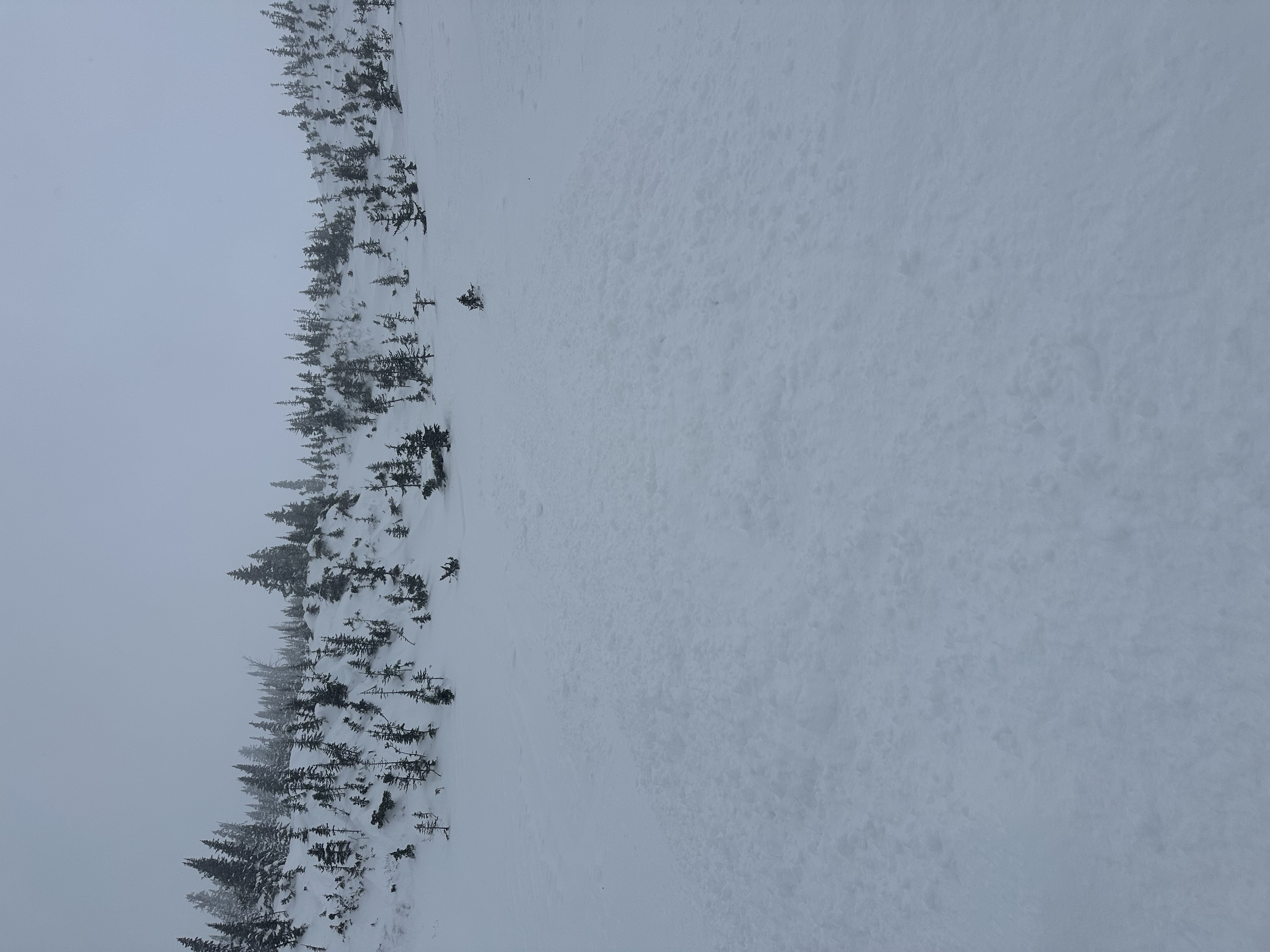 Observation photo