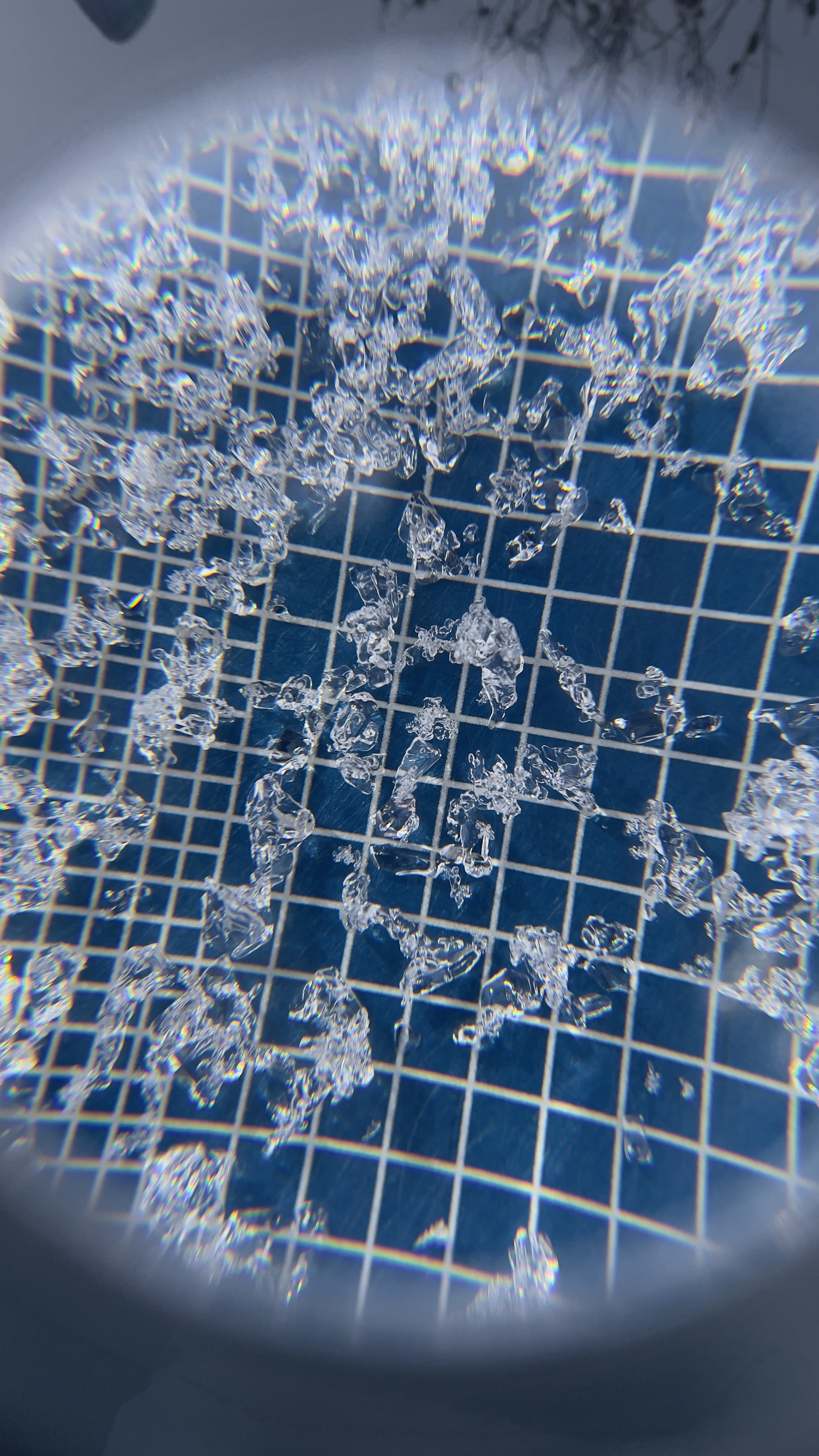 Observation photo