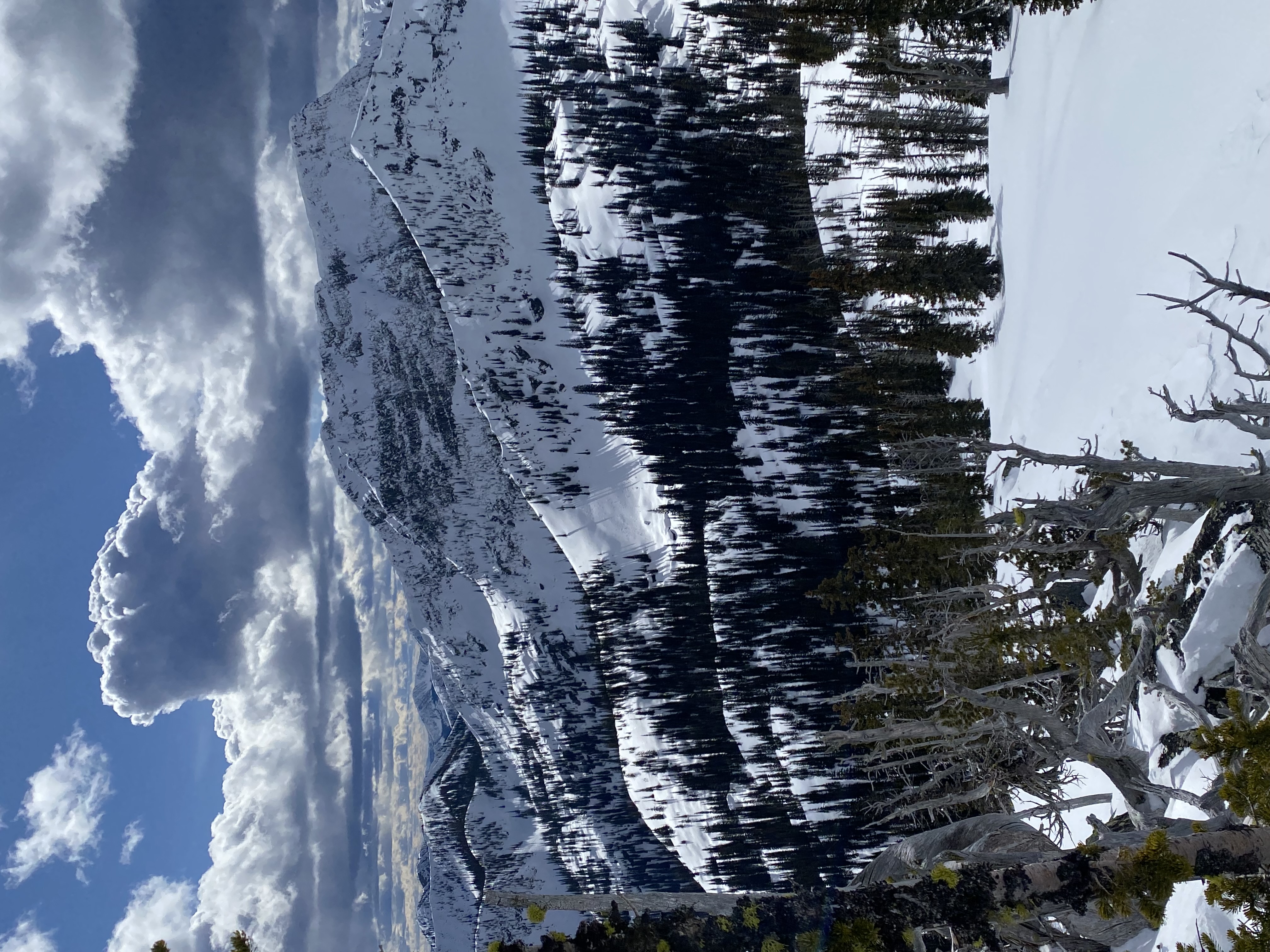 Observation photo