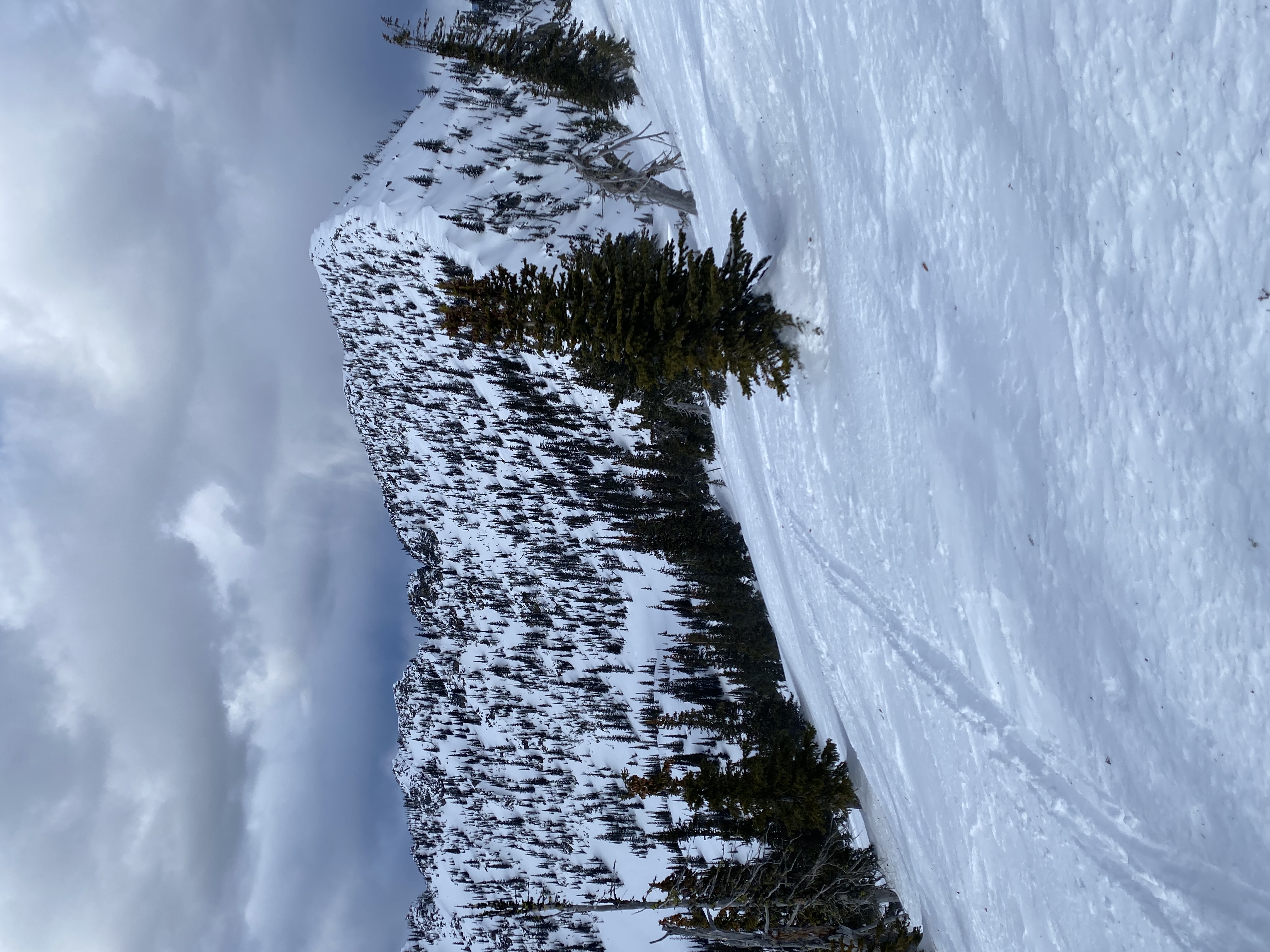 Observation photo